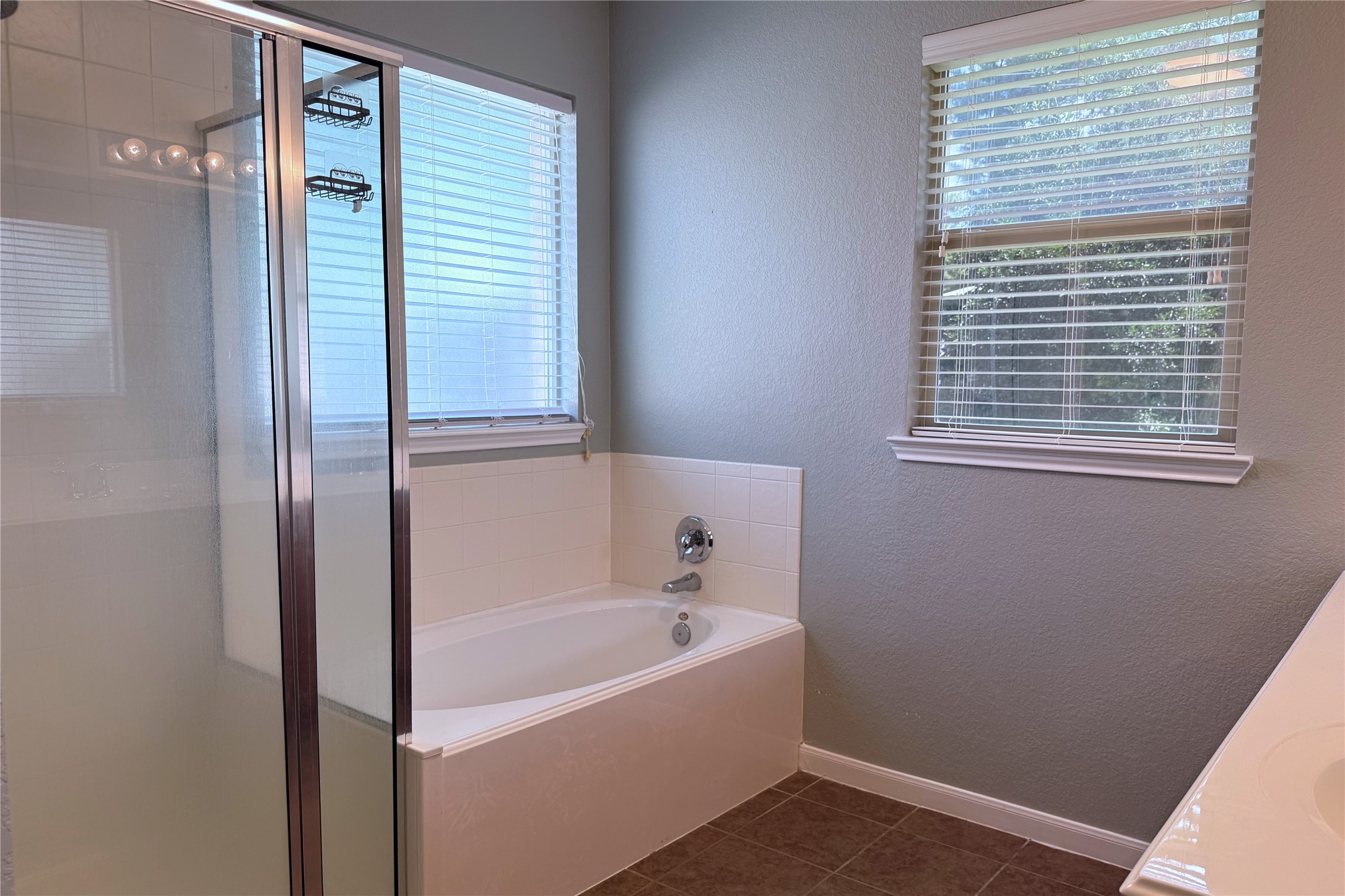 14706 Palladio Drive Property Photo 18