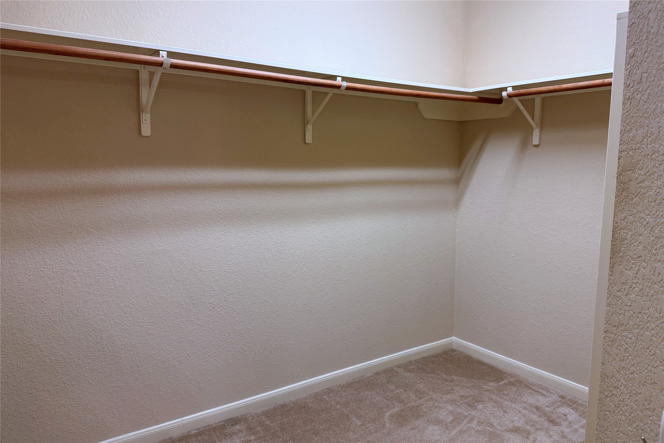 14706 Palladio Drive Property Photo 19