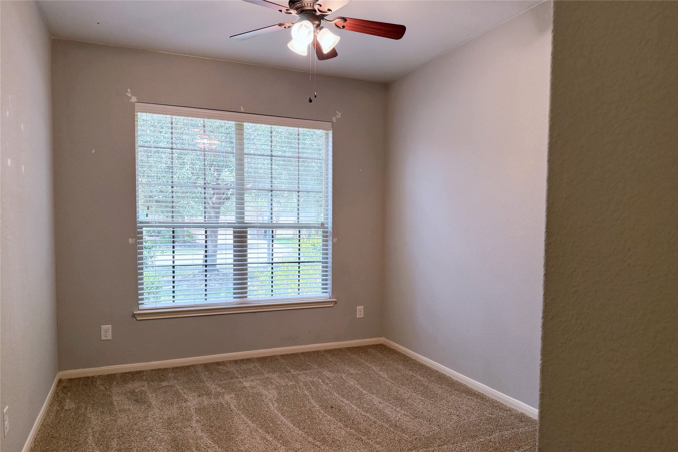 14706 Palladio Drive Property Photo 20