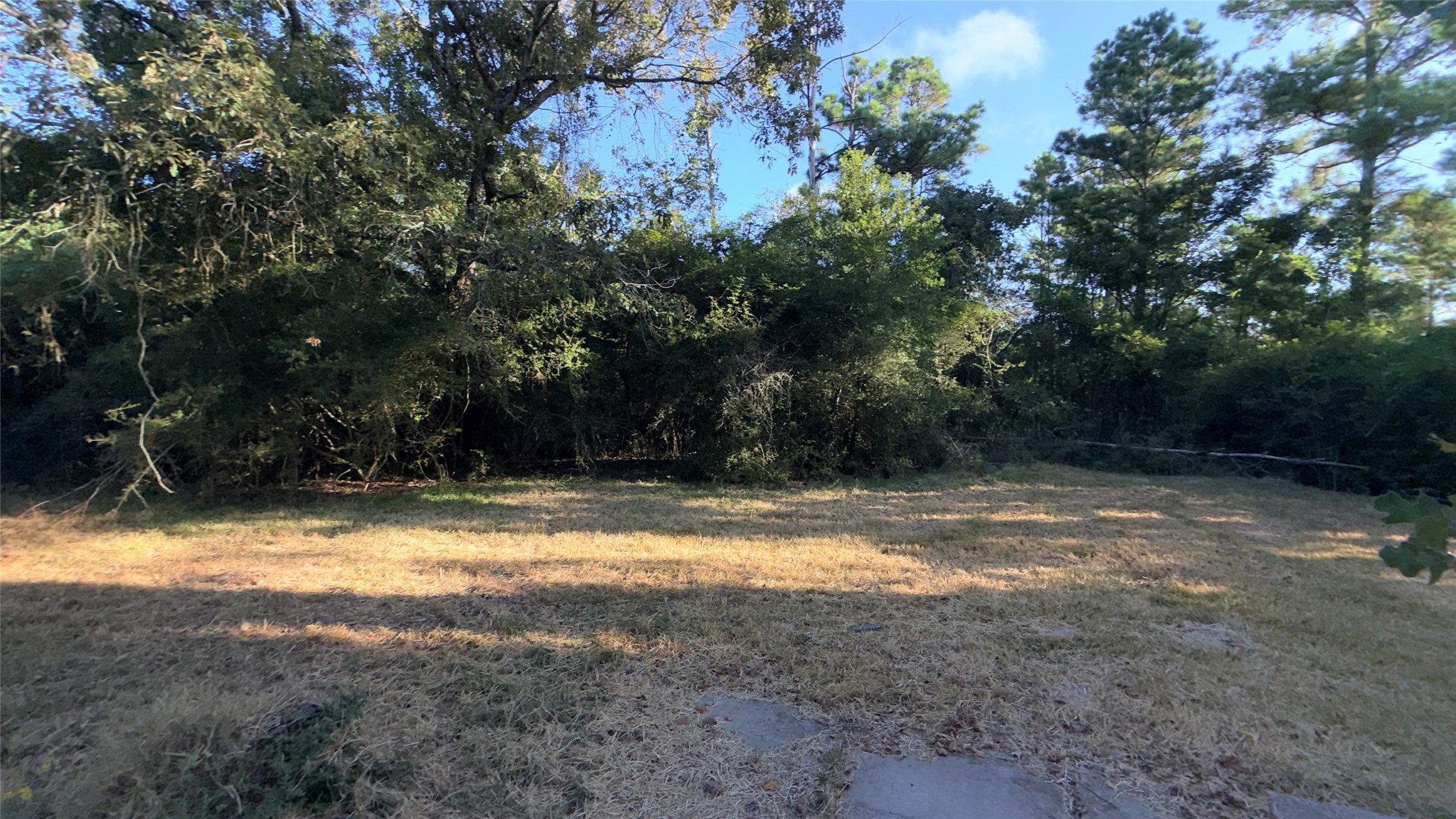 192 Cottonwood Property Photo 5