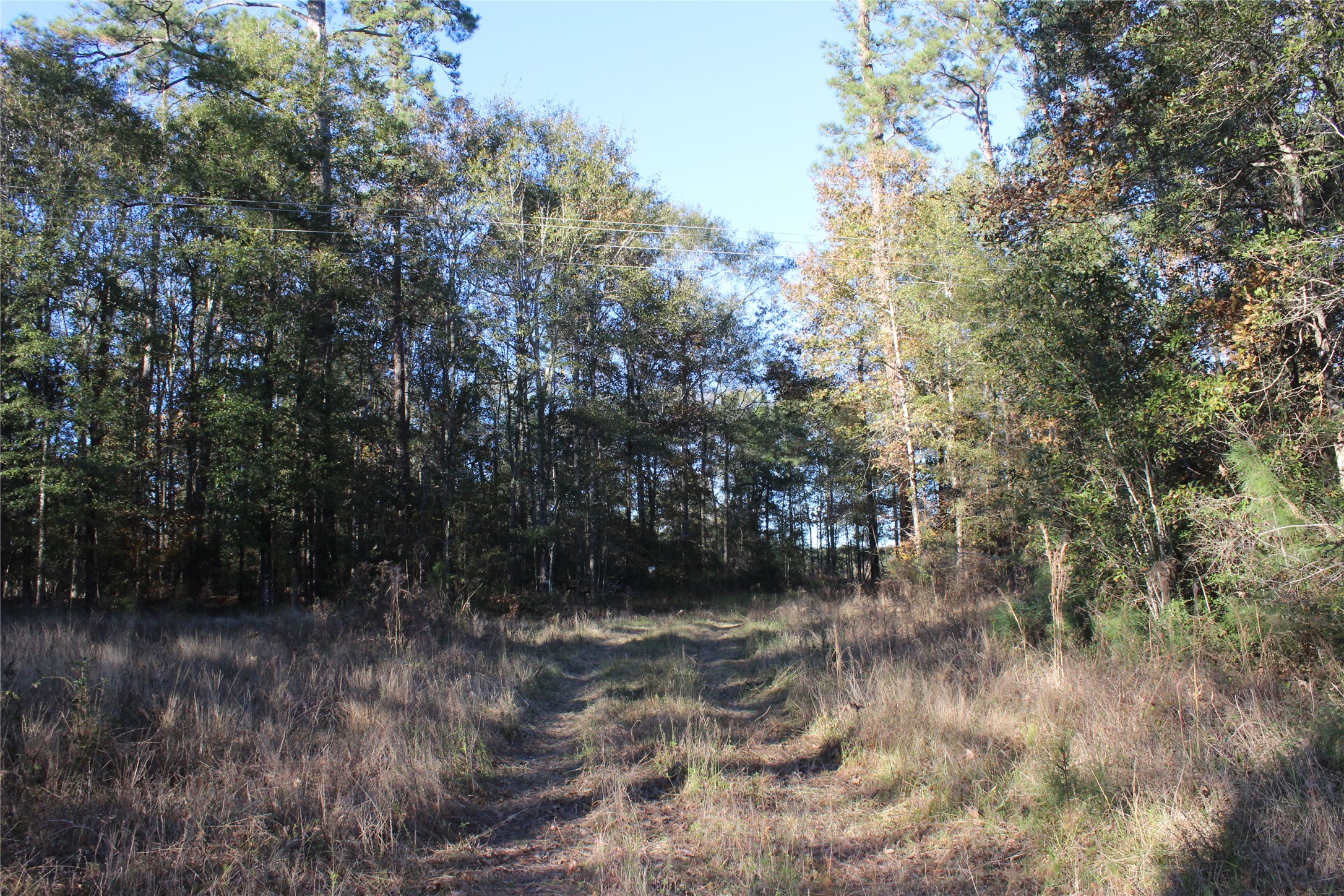 00 Tbd Tx-150 Property Photo 2