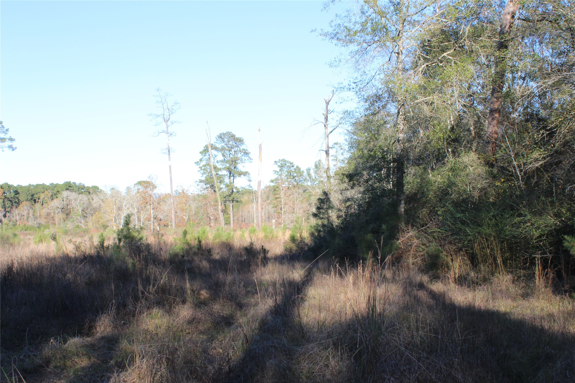 00 Tbd Tx-150 Property Photo 3