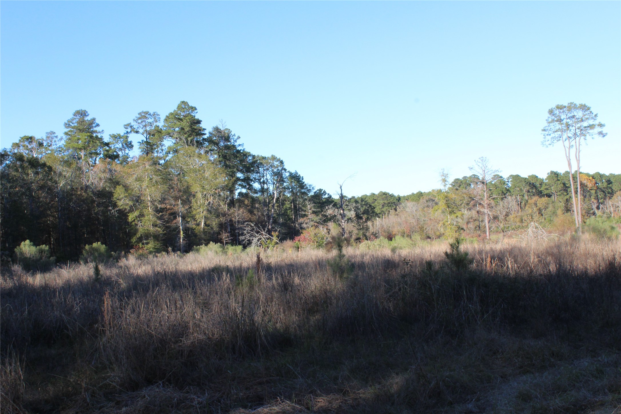 00 Tbd Tx-150 Property Photo 4