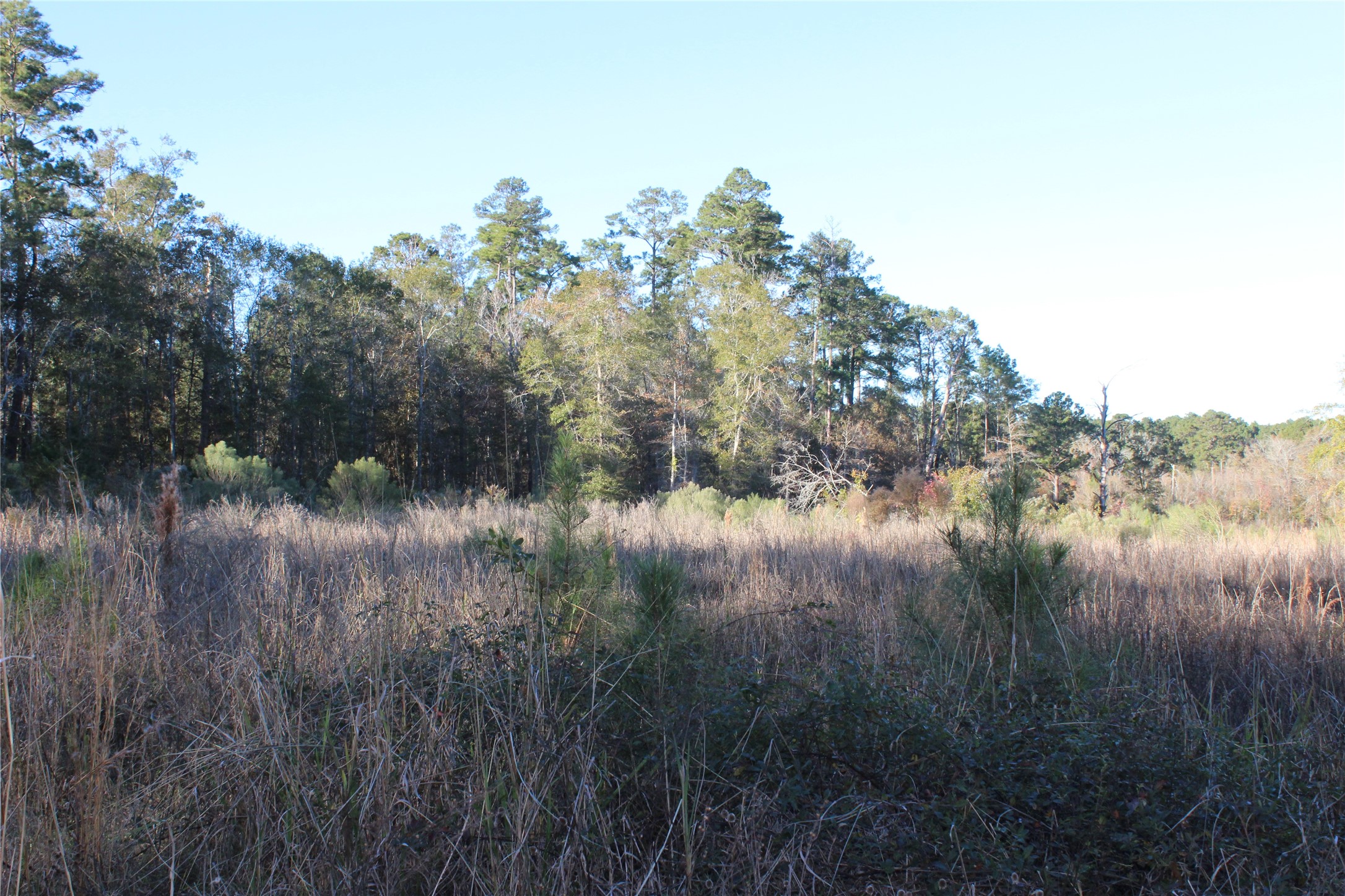 00 Tbd Tx-150 Property Photo 5