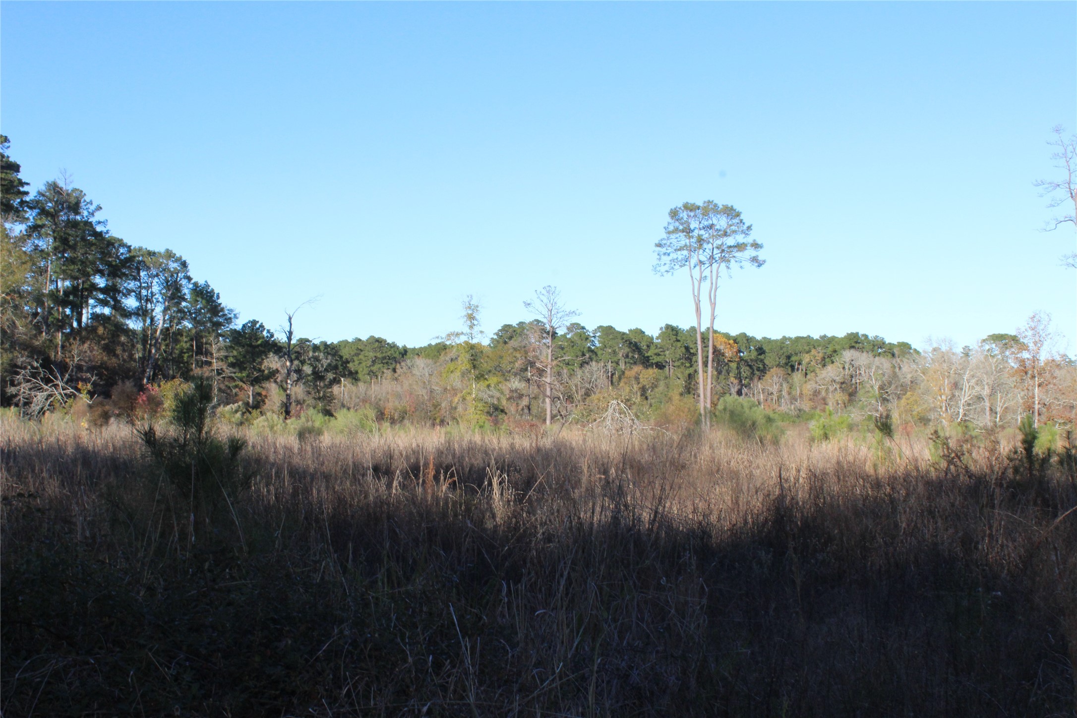 00 Tbd Tx-150 Property Photo 6