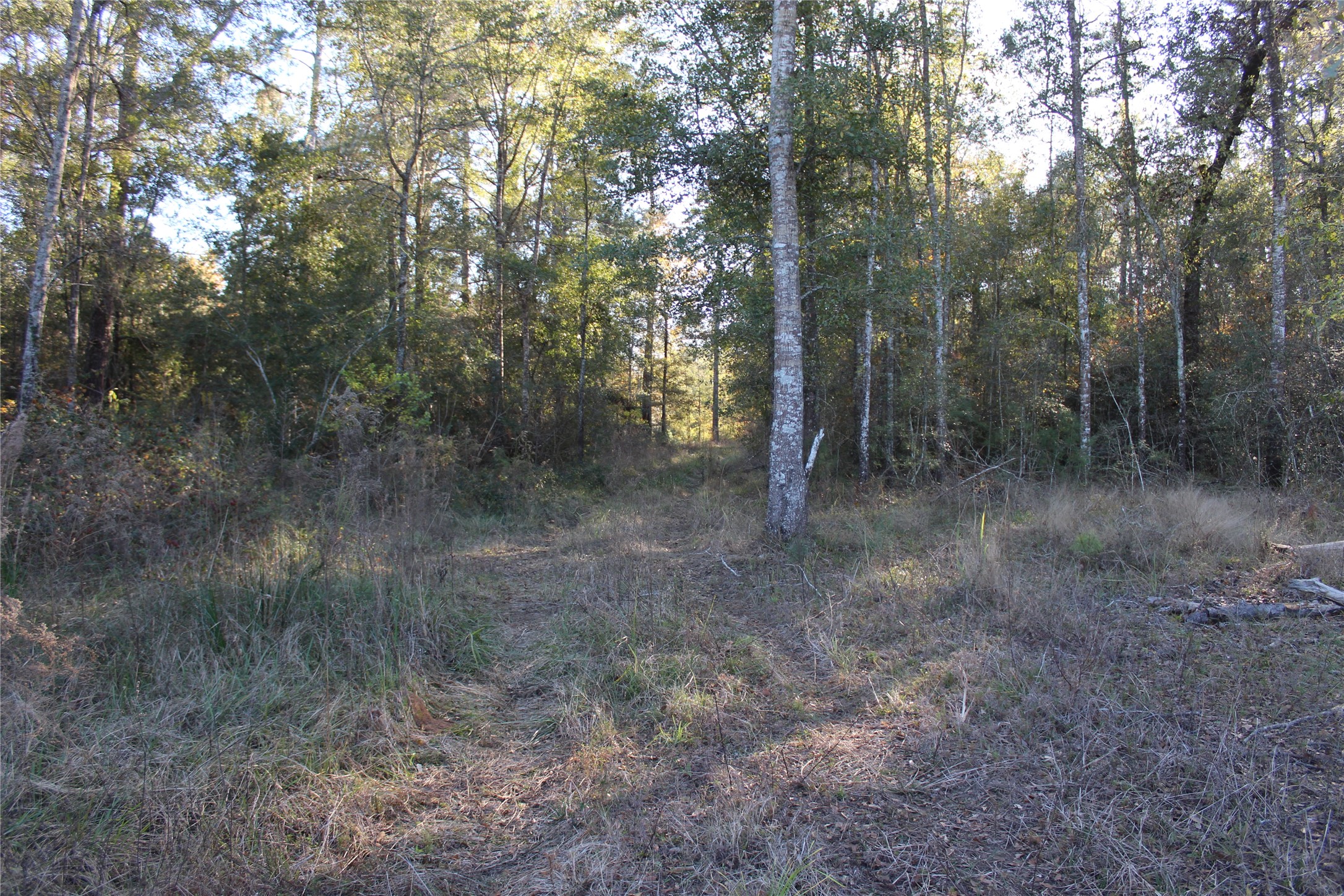 00 Tbd Tx-150 Property Photo 9
