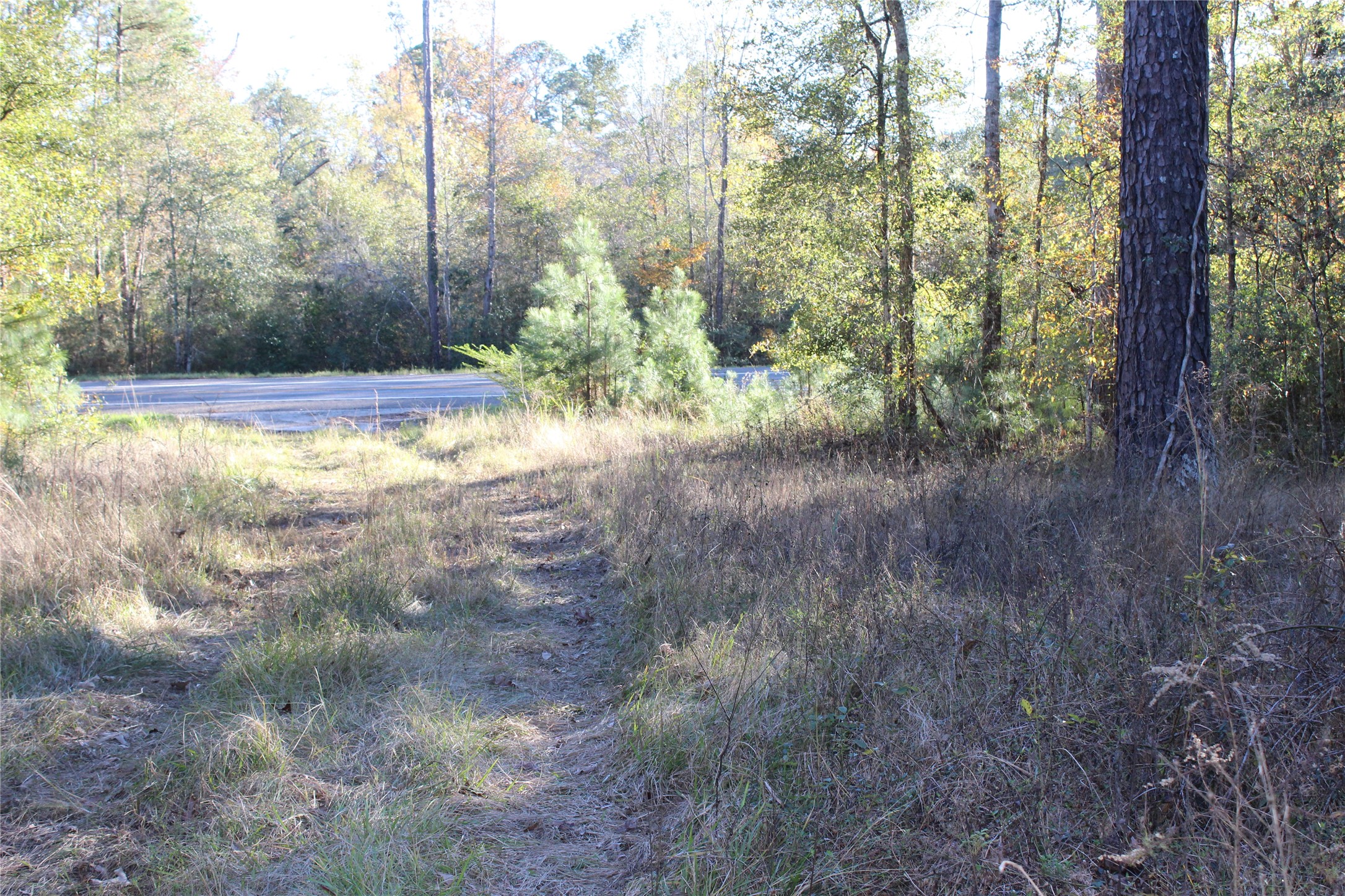 00 Tbd Tx-150 Property Photo 12