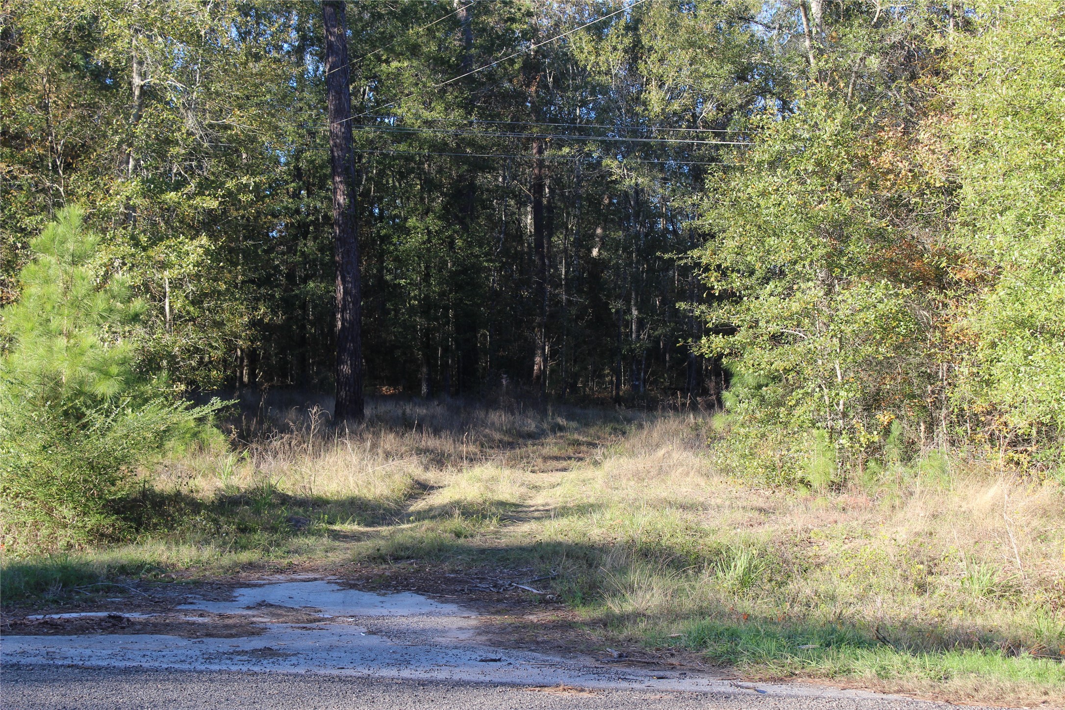00 Tbd Tx-150 Property Photo 13