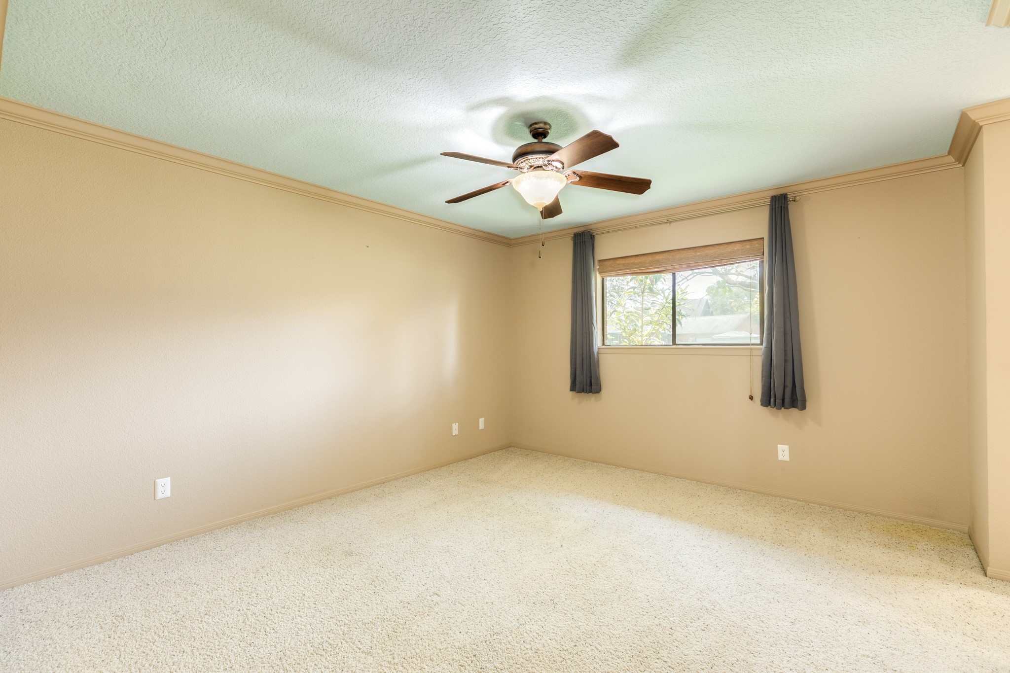 121 Bougainvillea Street Property Photo 16