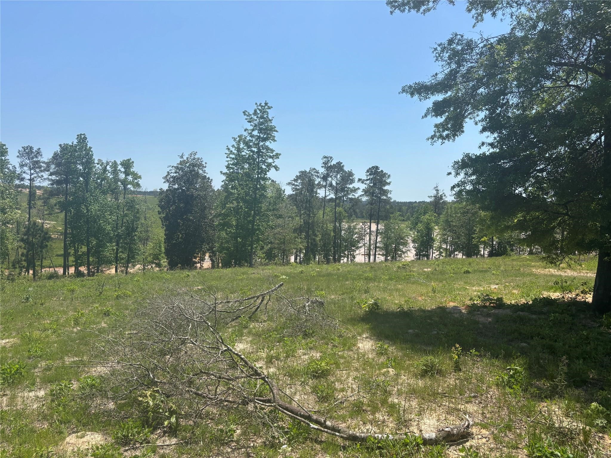 142 Dove Hill Circle Property Photo 1