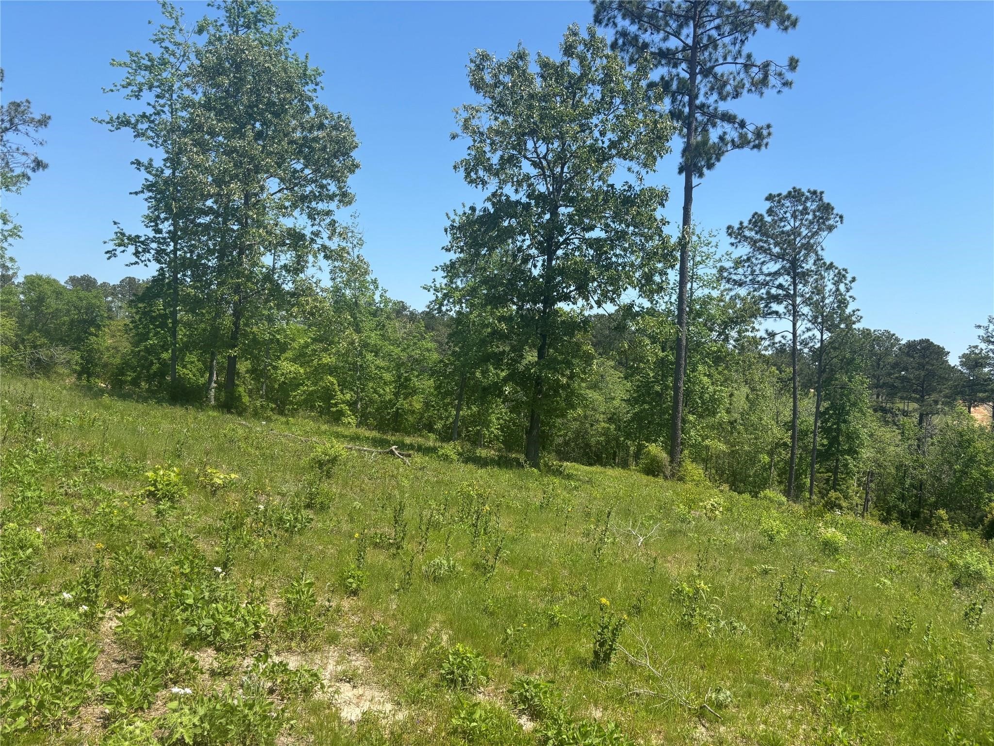 142 Dove Hill Circle Property Photo 2