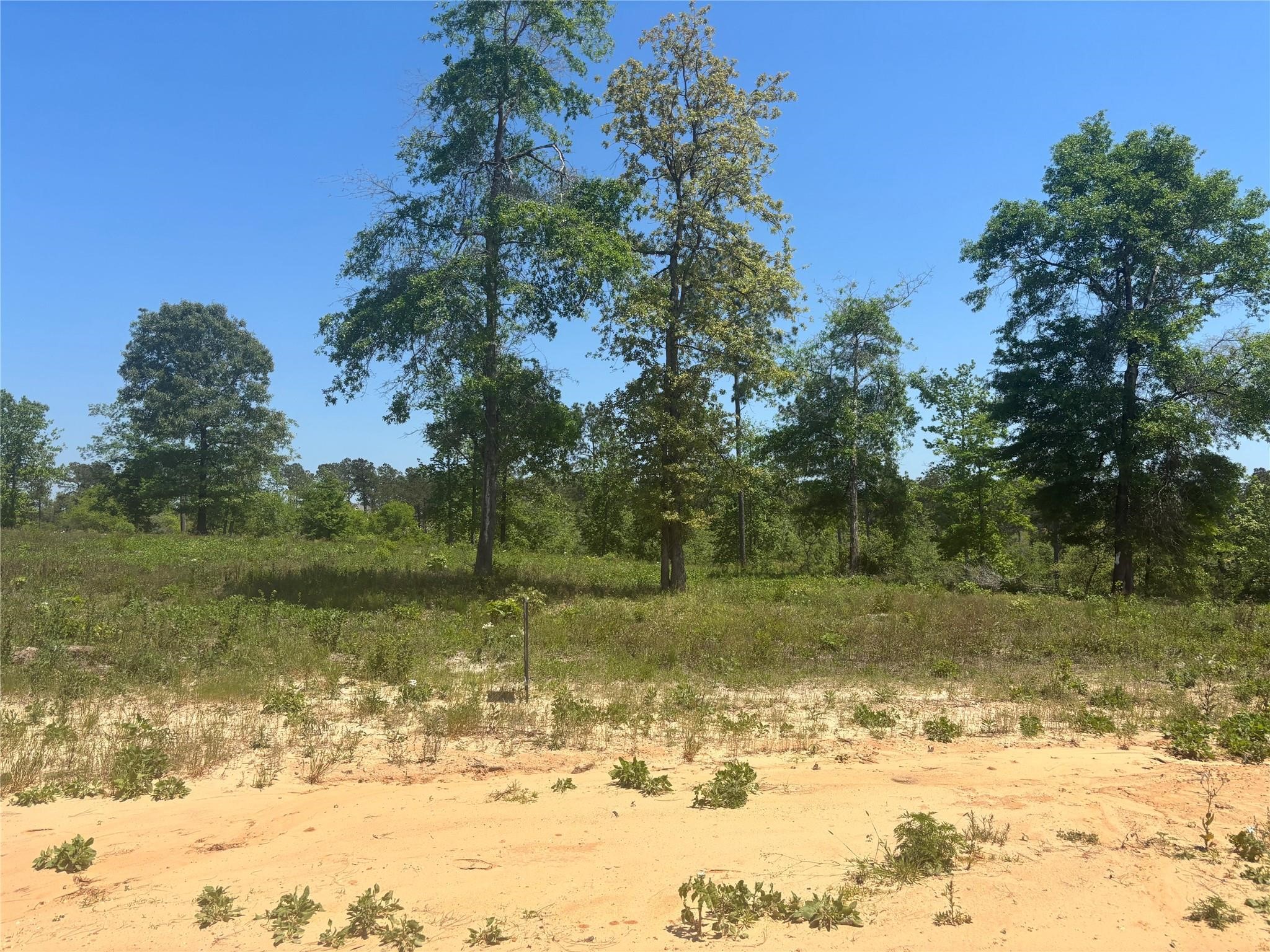 142 Dove Hill Circle Property Photo 3