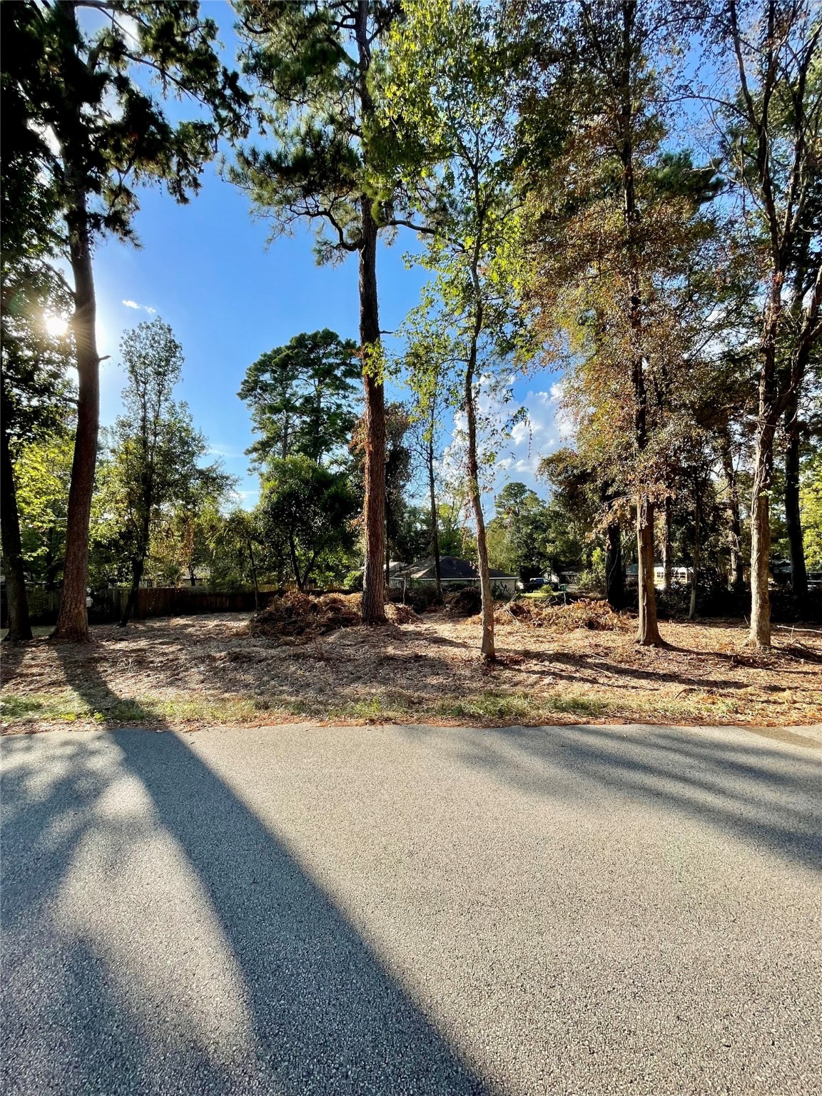 0 Spring Creek Drive Property Photo 3