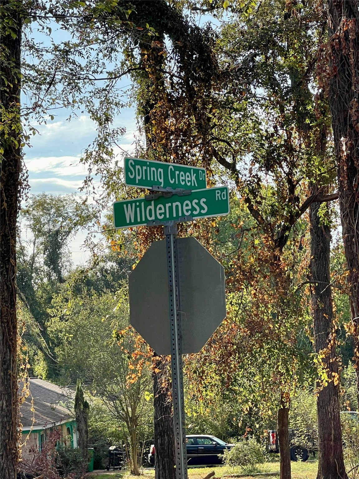 0 Spring Creek Drive Property Photo 9