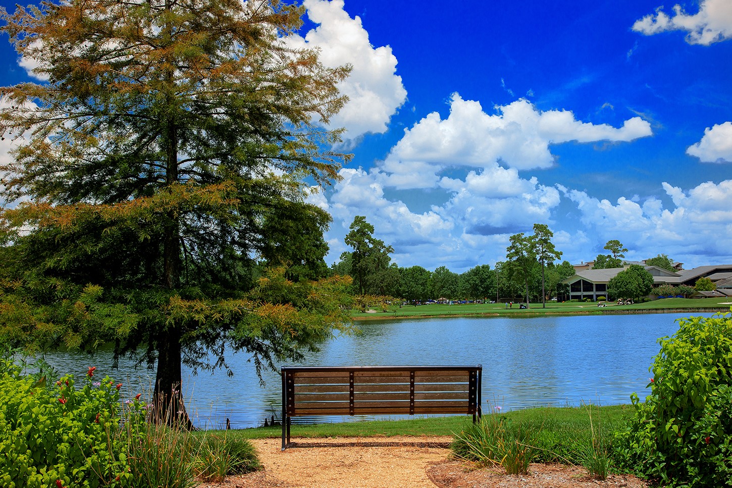 50 Secluded Trail Property Photo 31