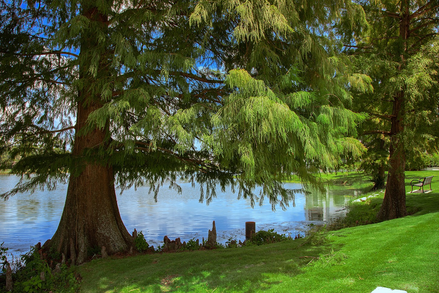 50 Secluded Trail Property Photo 32