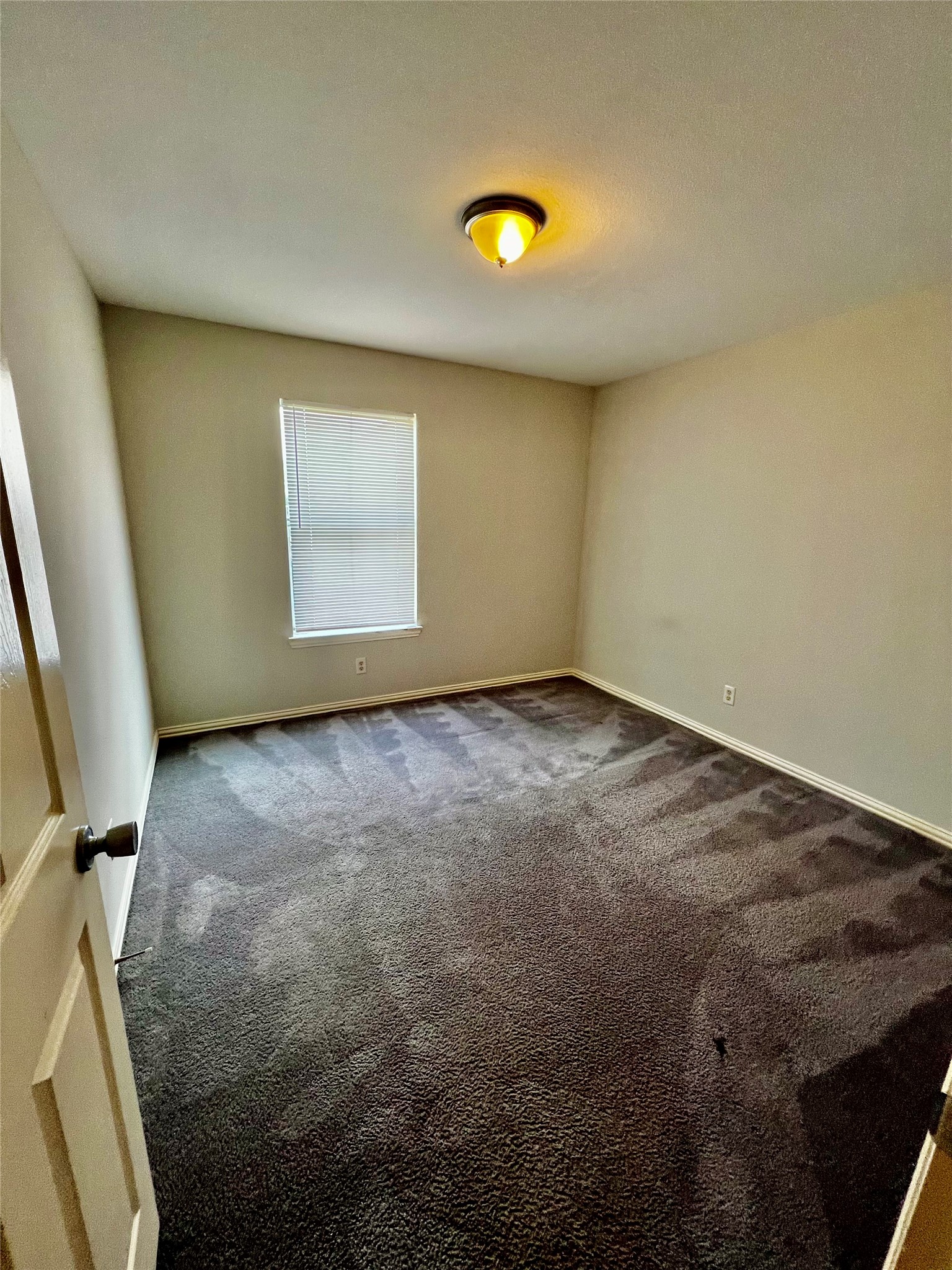 12422 Sunlit Wood Way Property Photo 6