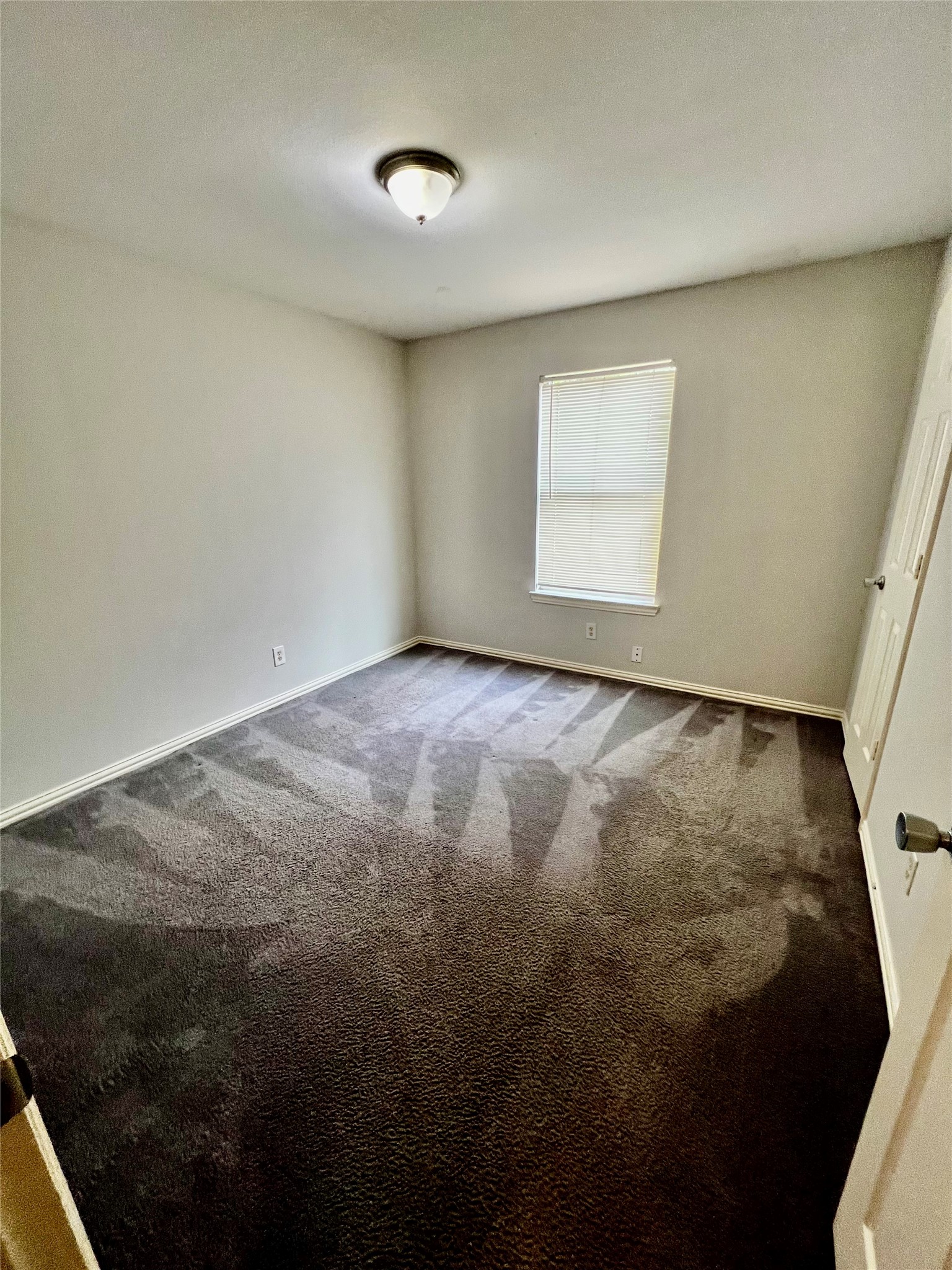 12422 Sunlit Wood Way Property Photo 9