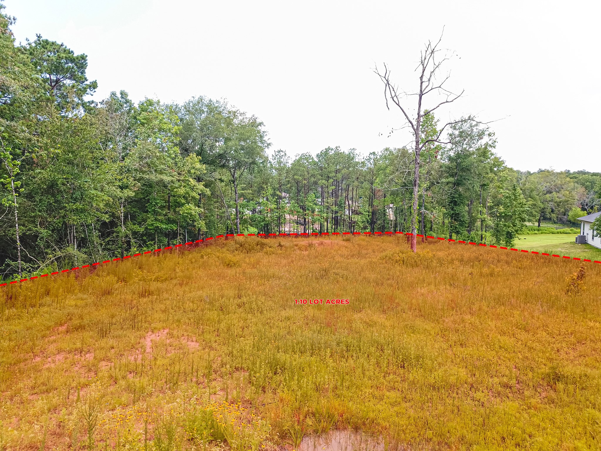 18332 Wisp Willow Way Property Photo 19