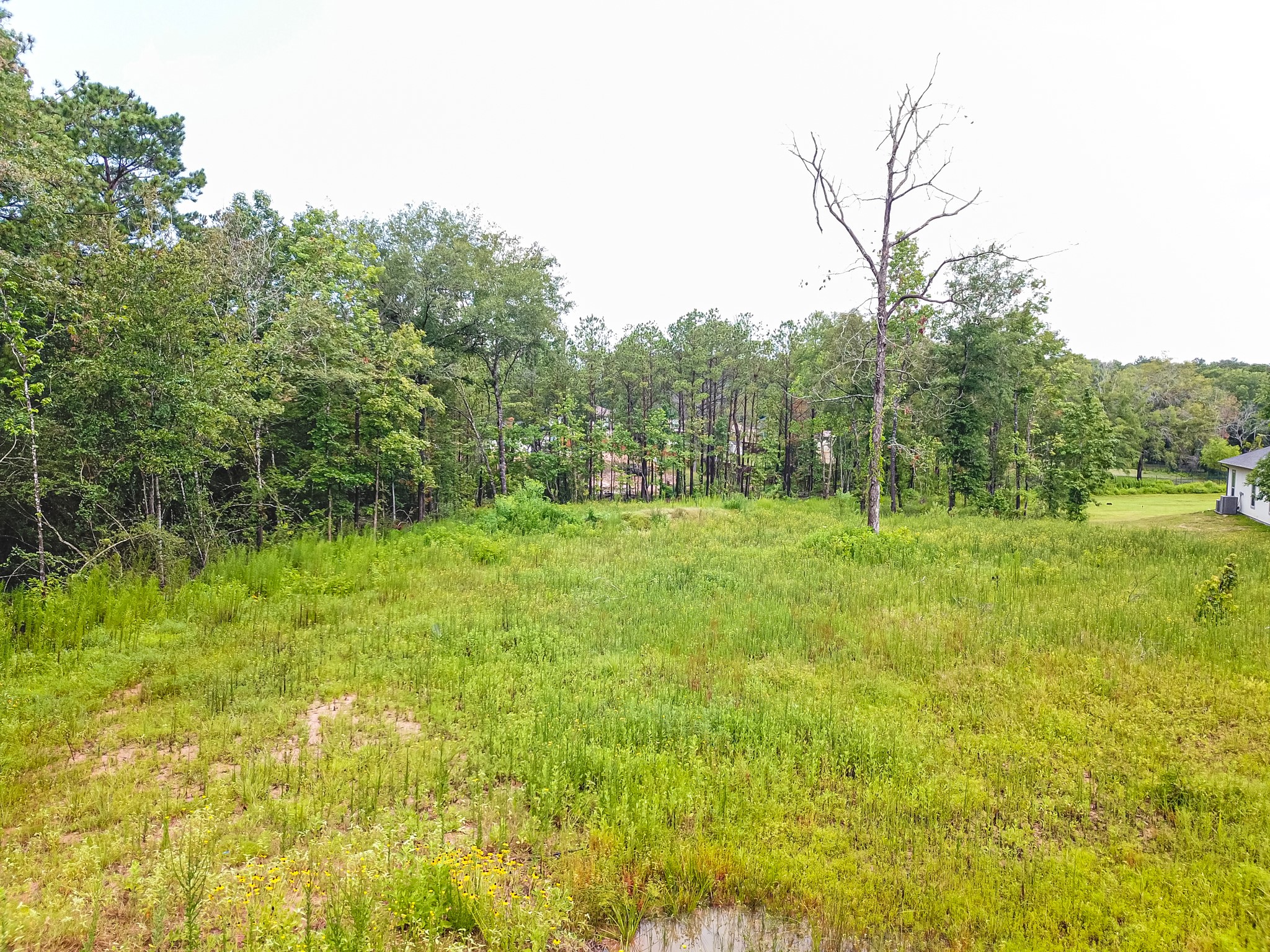 18332 Wisp Willow Way Property Photo 41