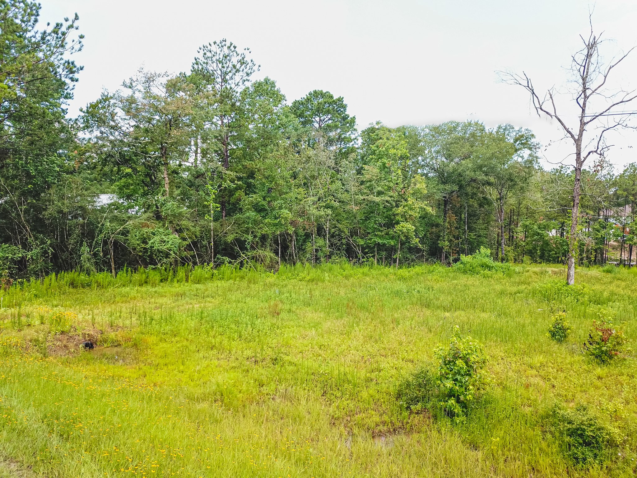 18332 Wisp Willow Way Property Photo 43