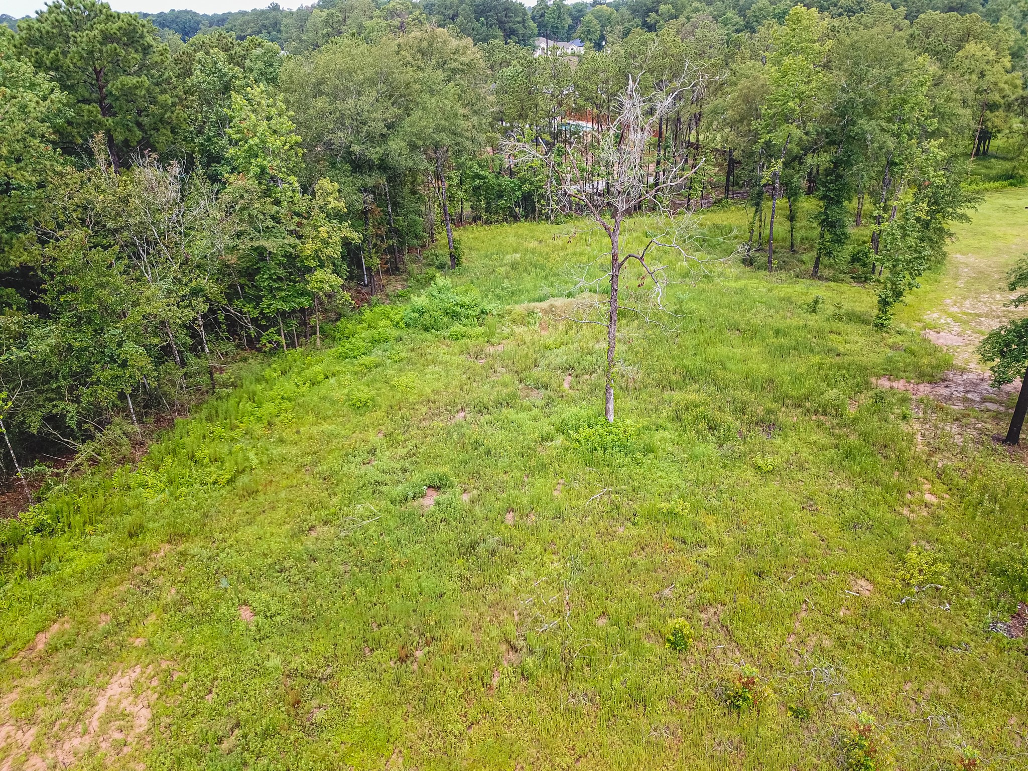 18332 Wisp Willow Way Property Photo 44