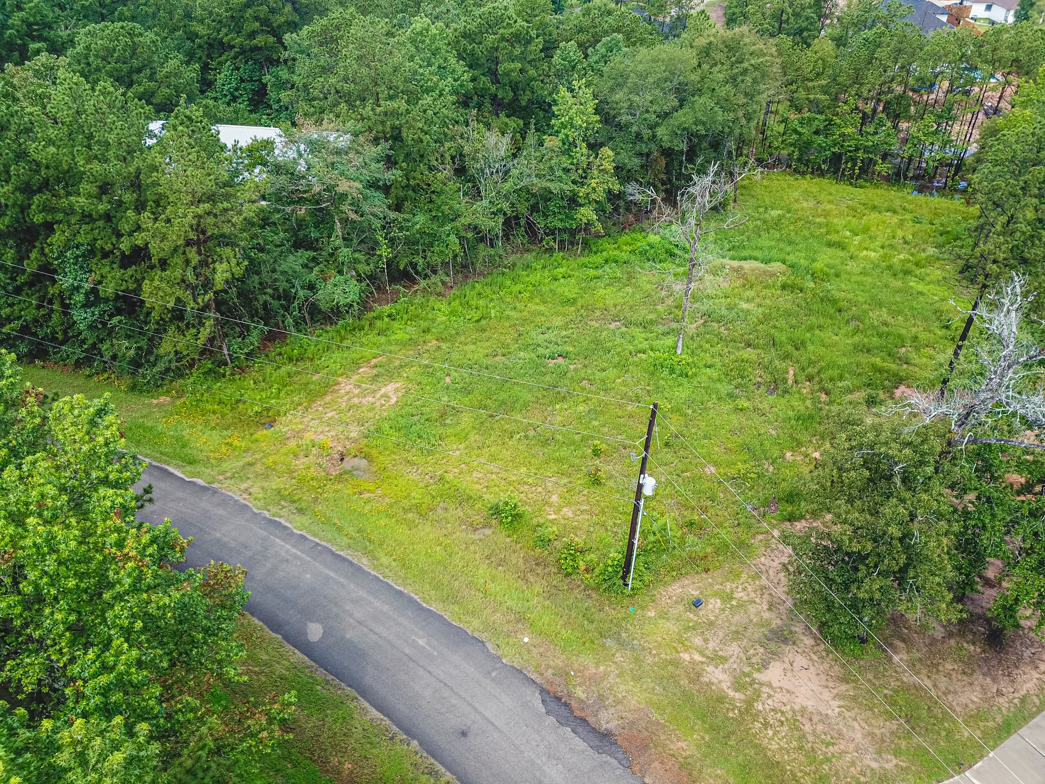 18332 Wisp Willow Way Property Photo 48