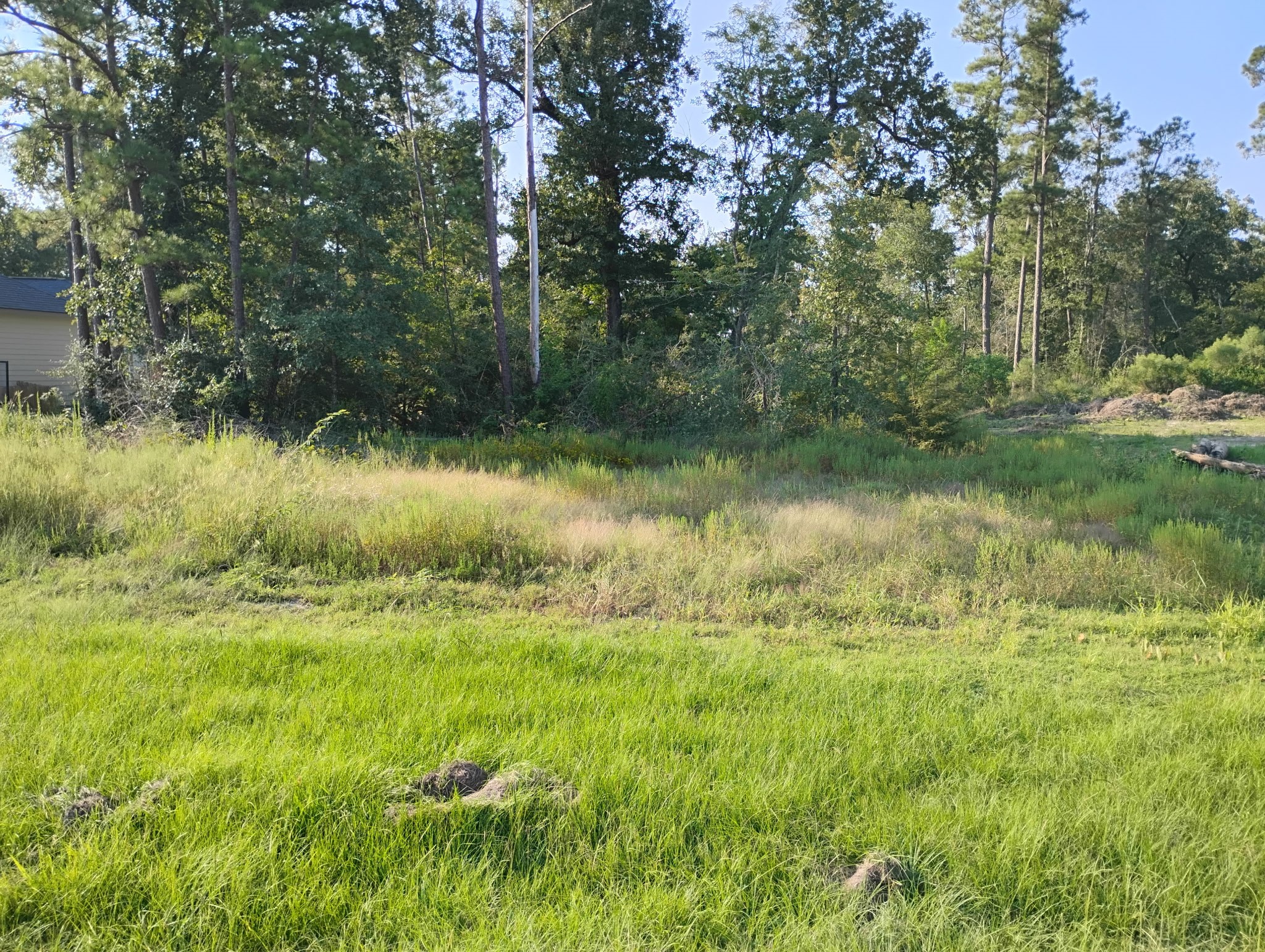 Tbd N Cattle Drive Property Photo 1