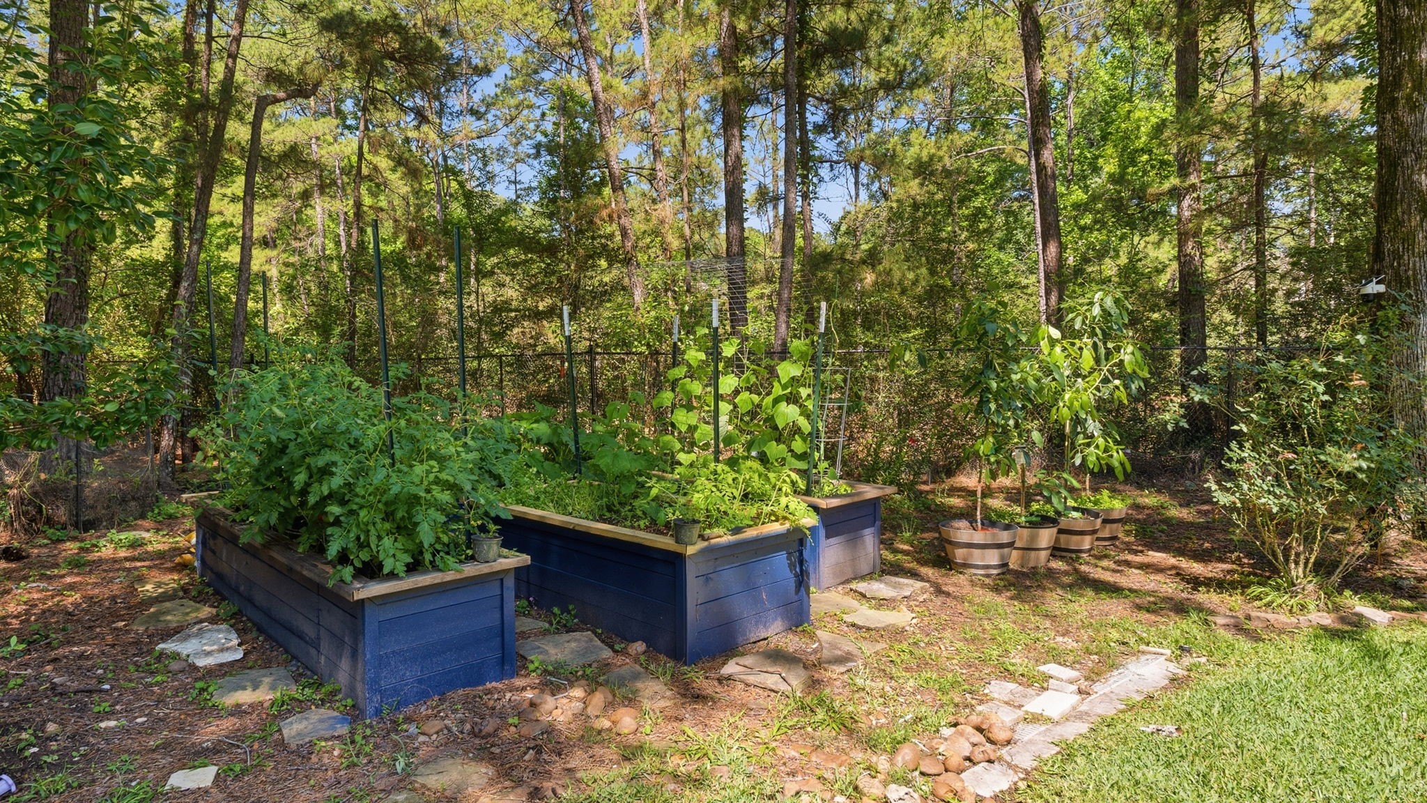 39 Creek Forest Lane Property Photo 46