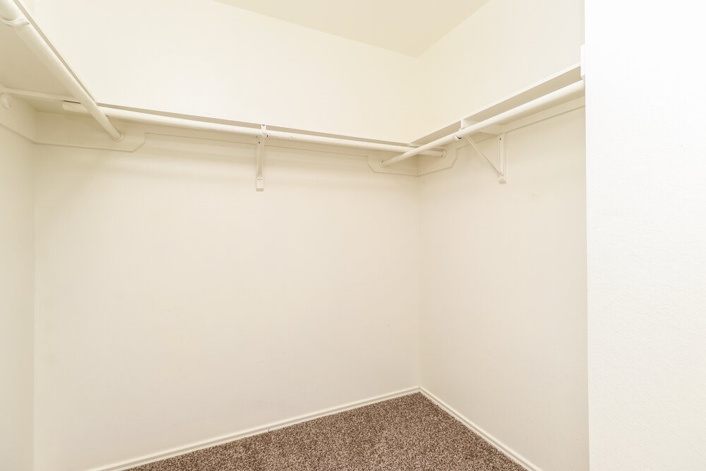 11710 Sandy Stream Drive Property Photo 13
