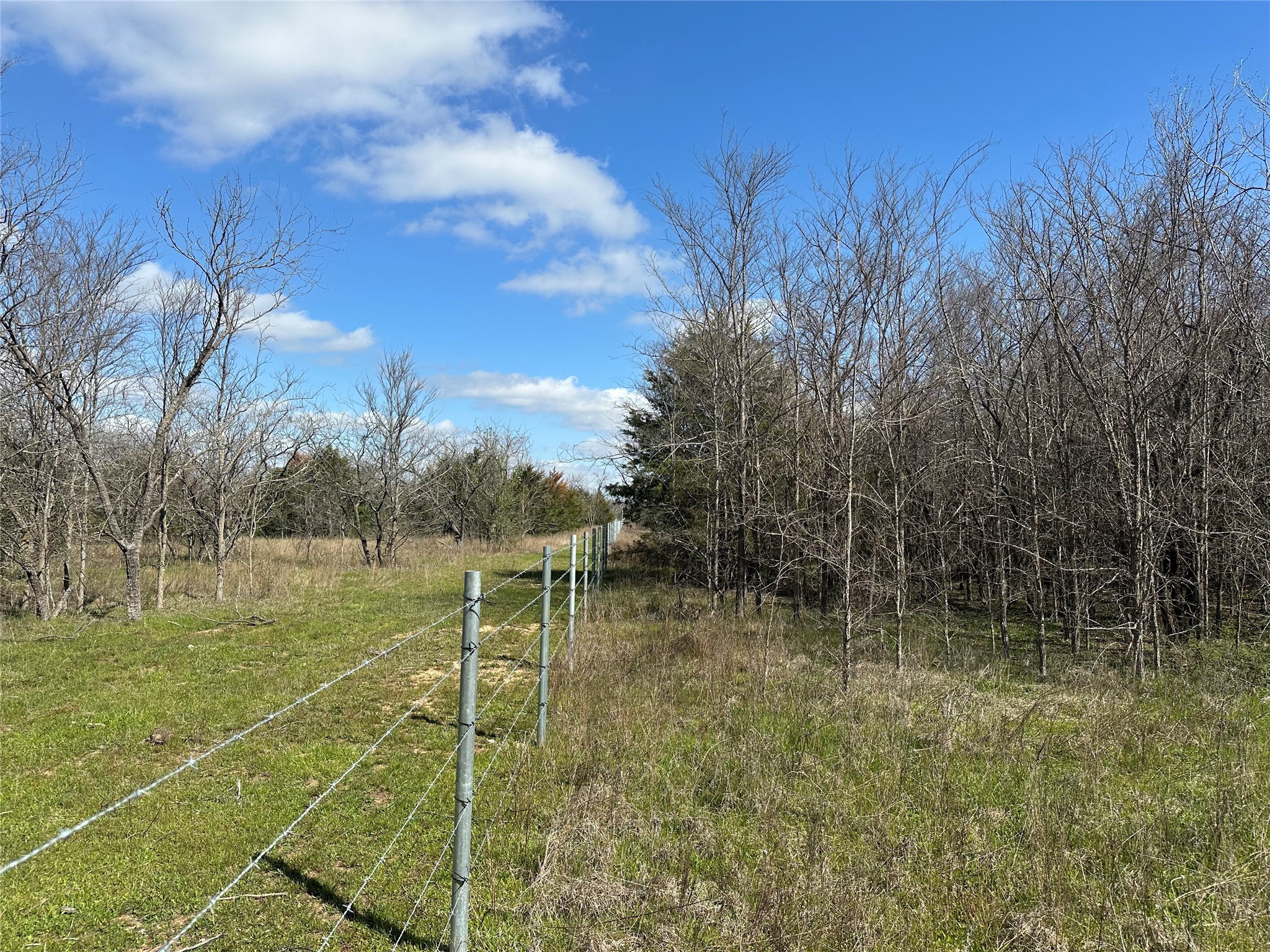 Tr 13 County Road 925 Property Photo