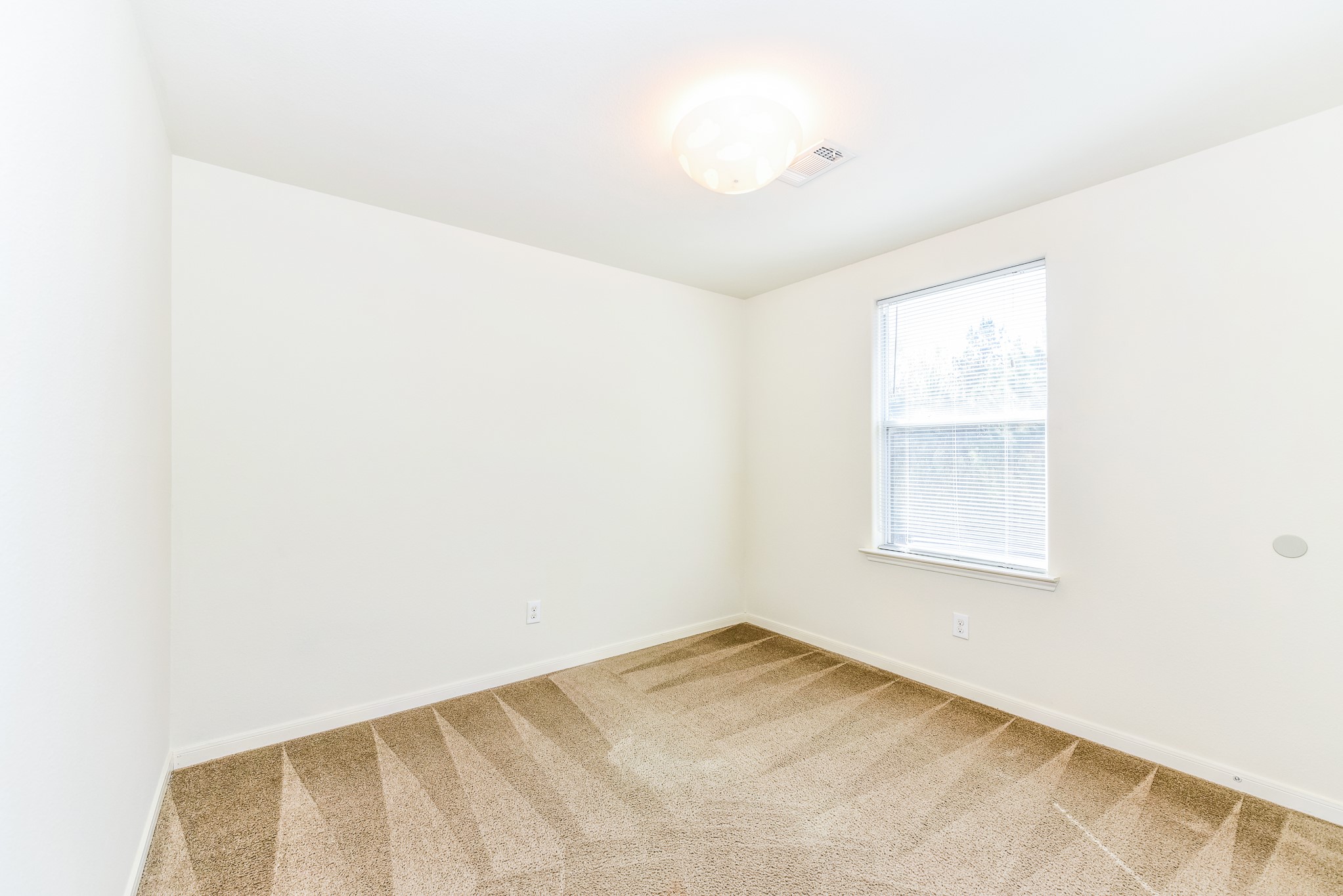 28854 Llano River Loop Property Photo 8