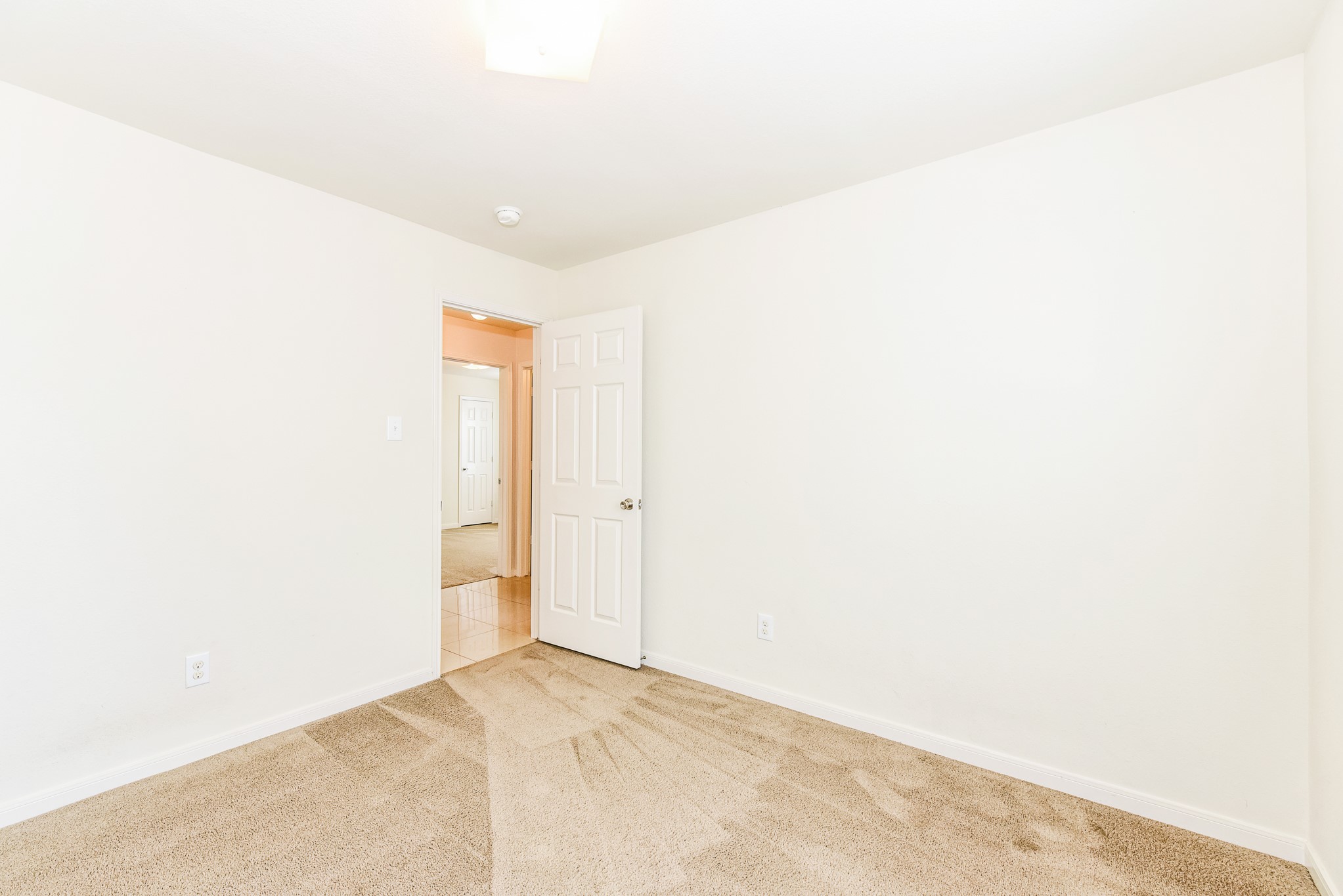 28854 Llano River Loop Property Photo 11