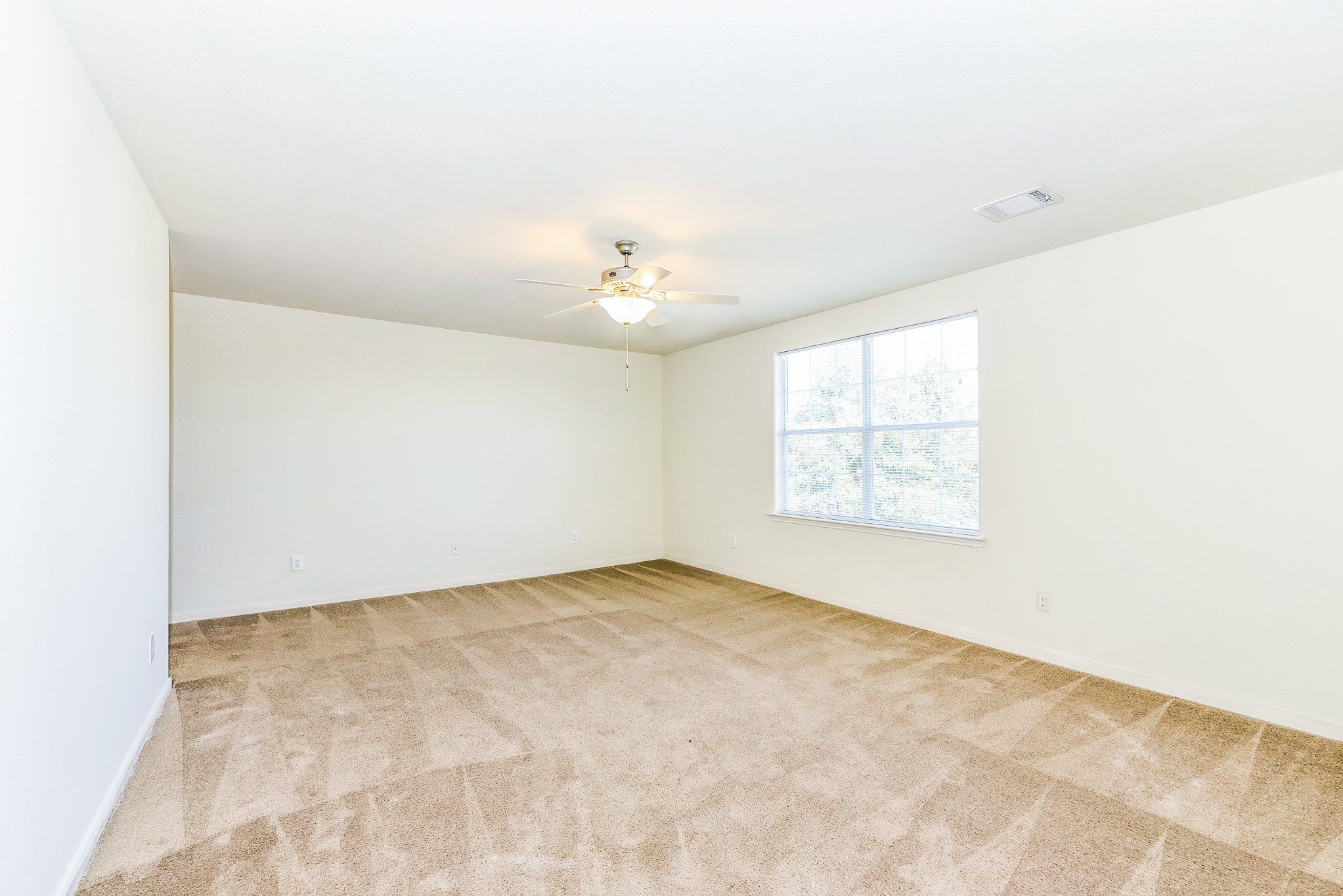 28854 Llano River Loop Property Photo 12