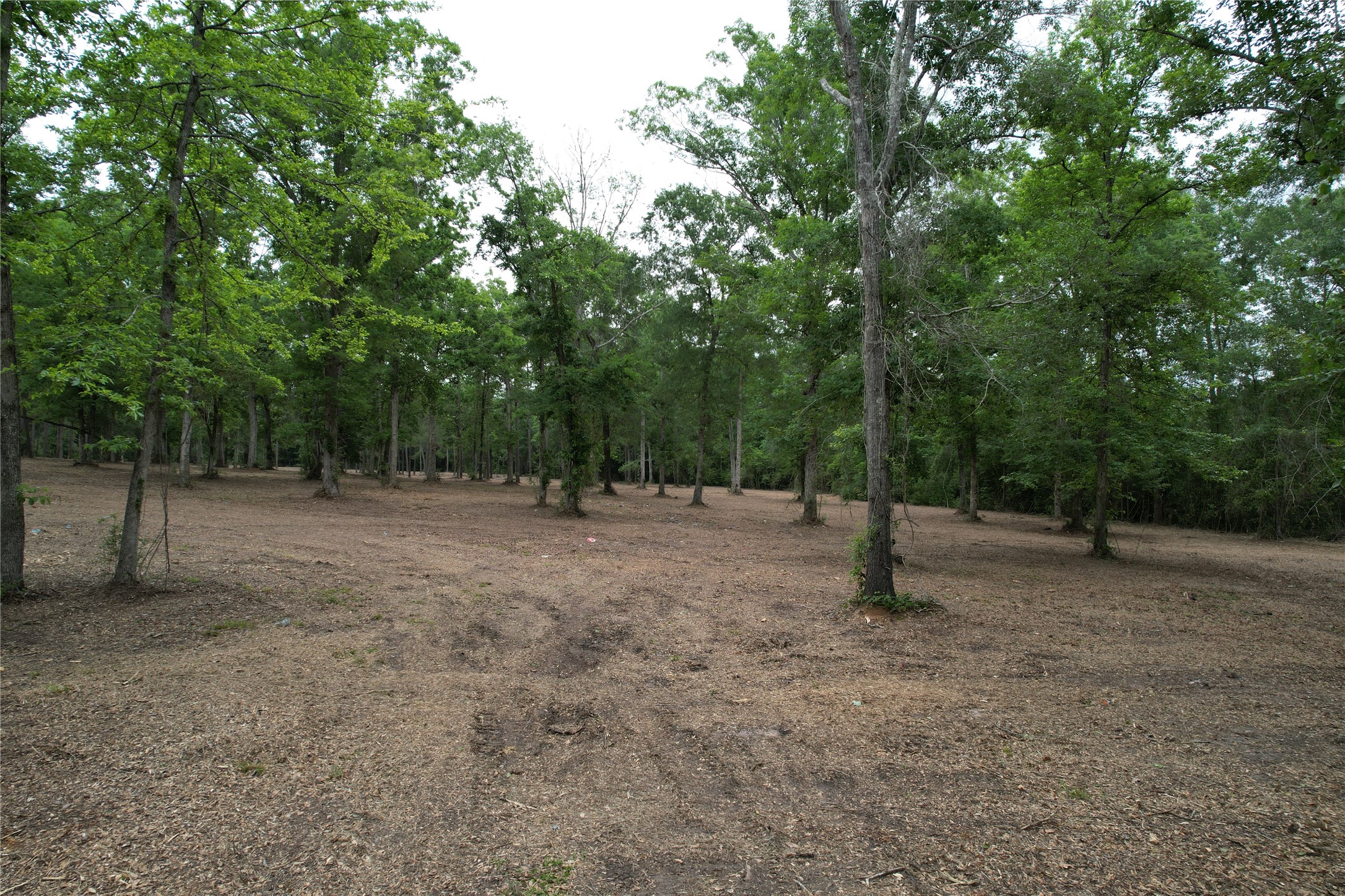 6-e Us Highway 190 W Property Photo 7