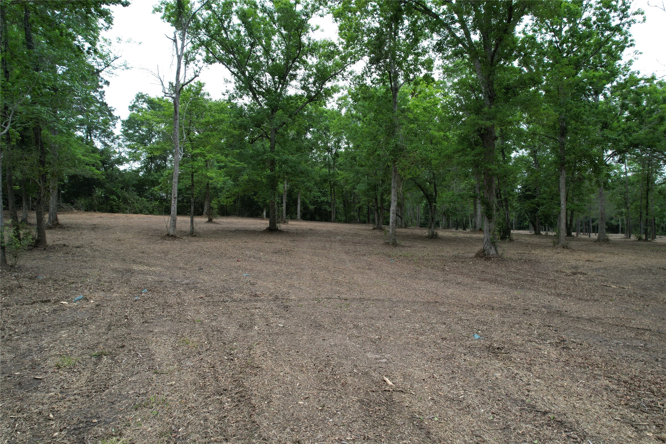 6-e Us Highway 190 W Property Photo 10