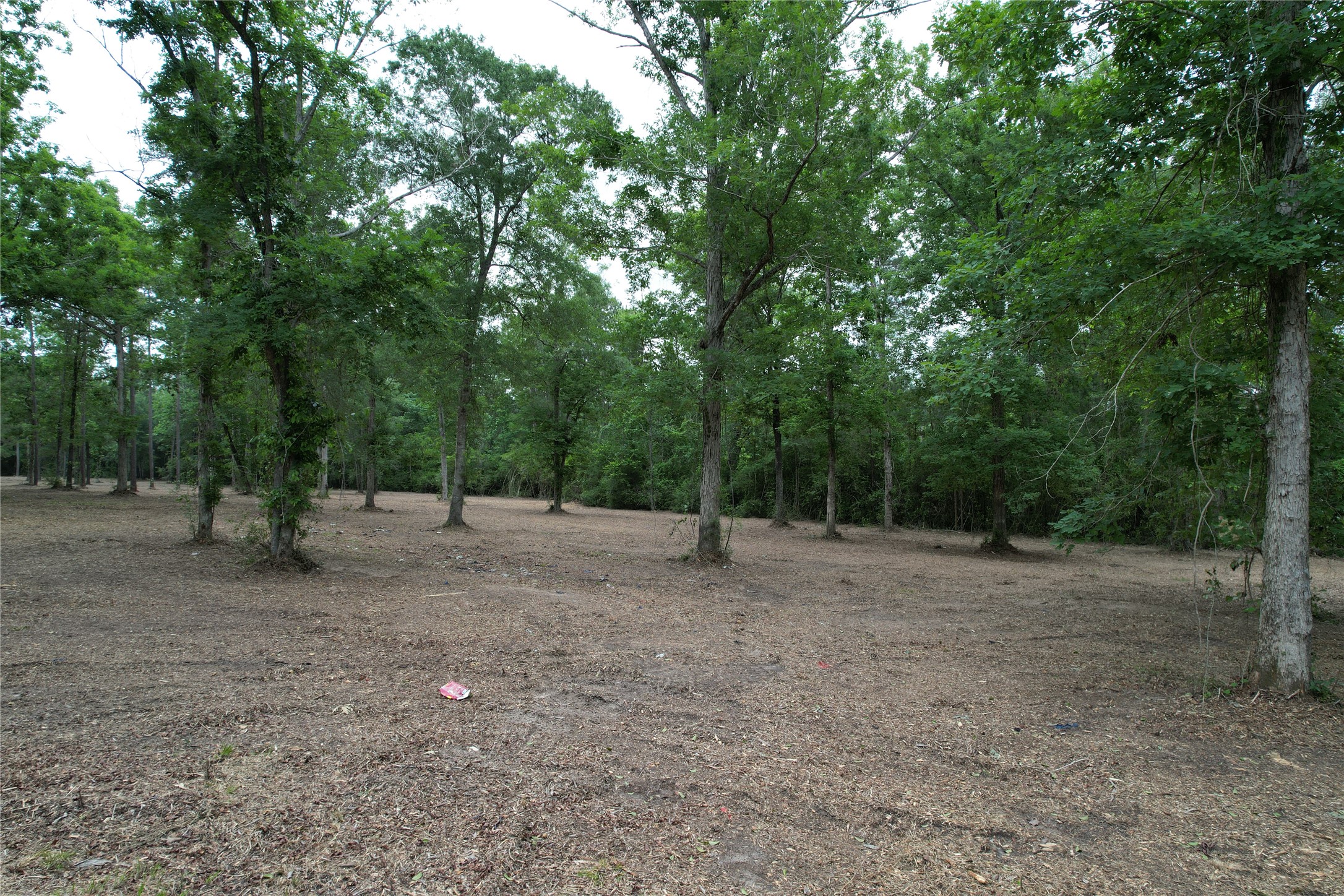 6-e Us Highway 190 W Property Photo 11