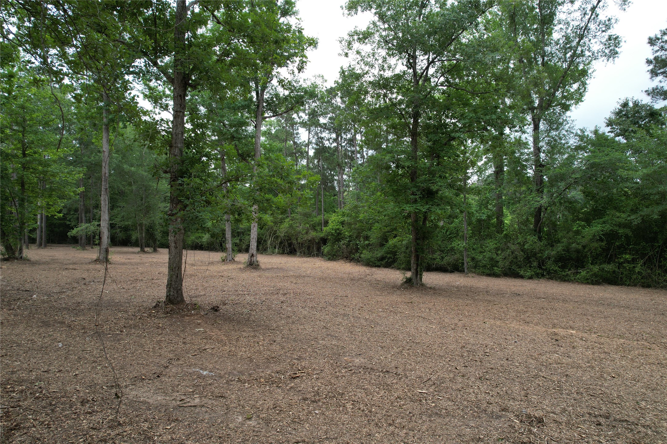 6-e Us Highway 190 W Property Photo 12