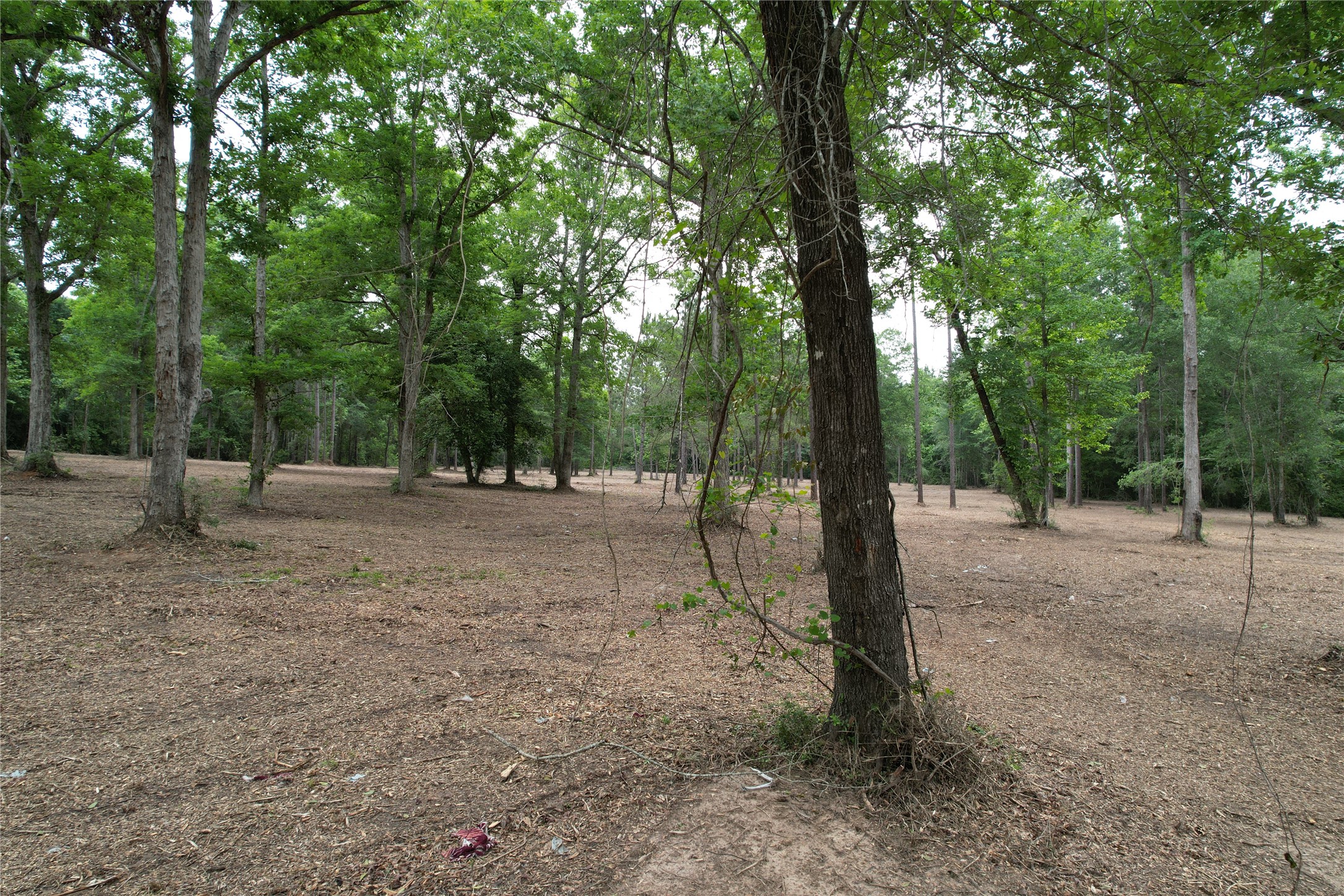 6-e Us Highway 190 W Property Photo 13