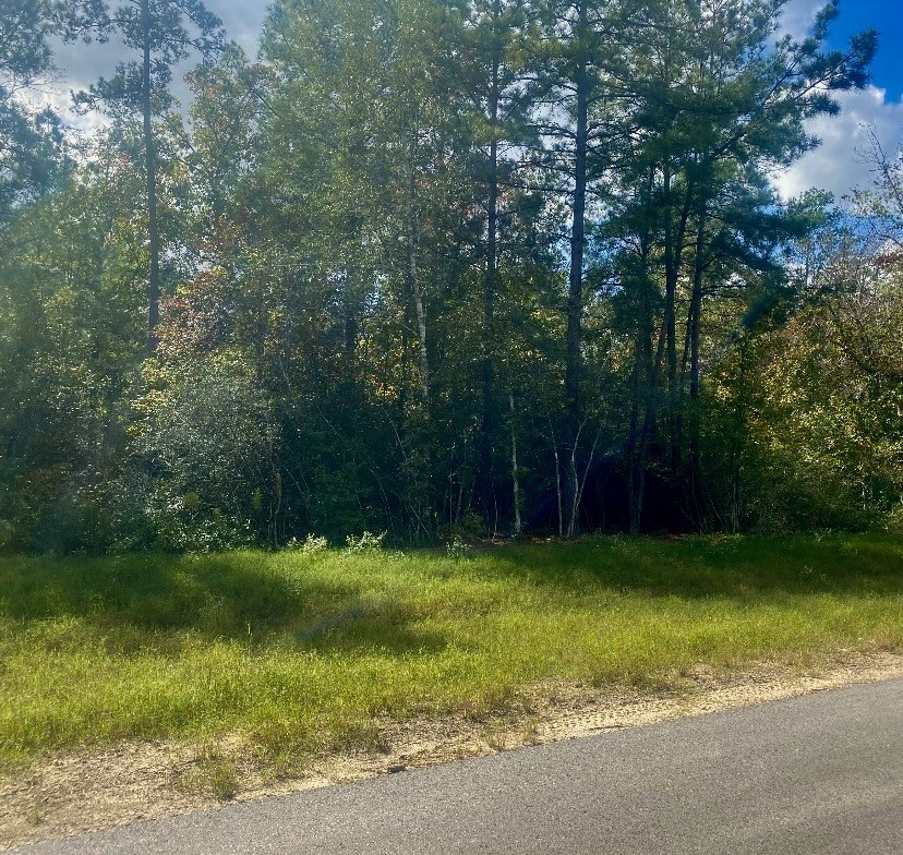 15629 Forest Knoll Road Property Photo 2