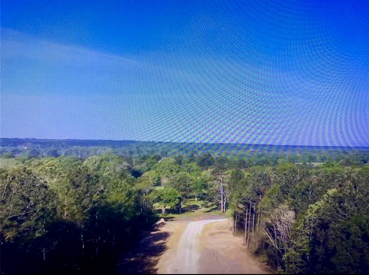 15629 Forest Knoll Road Property Photo 3