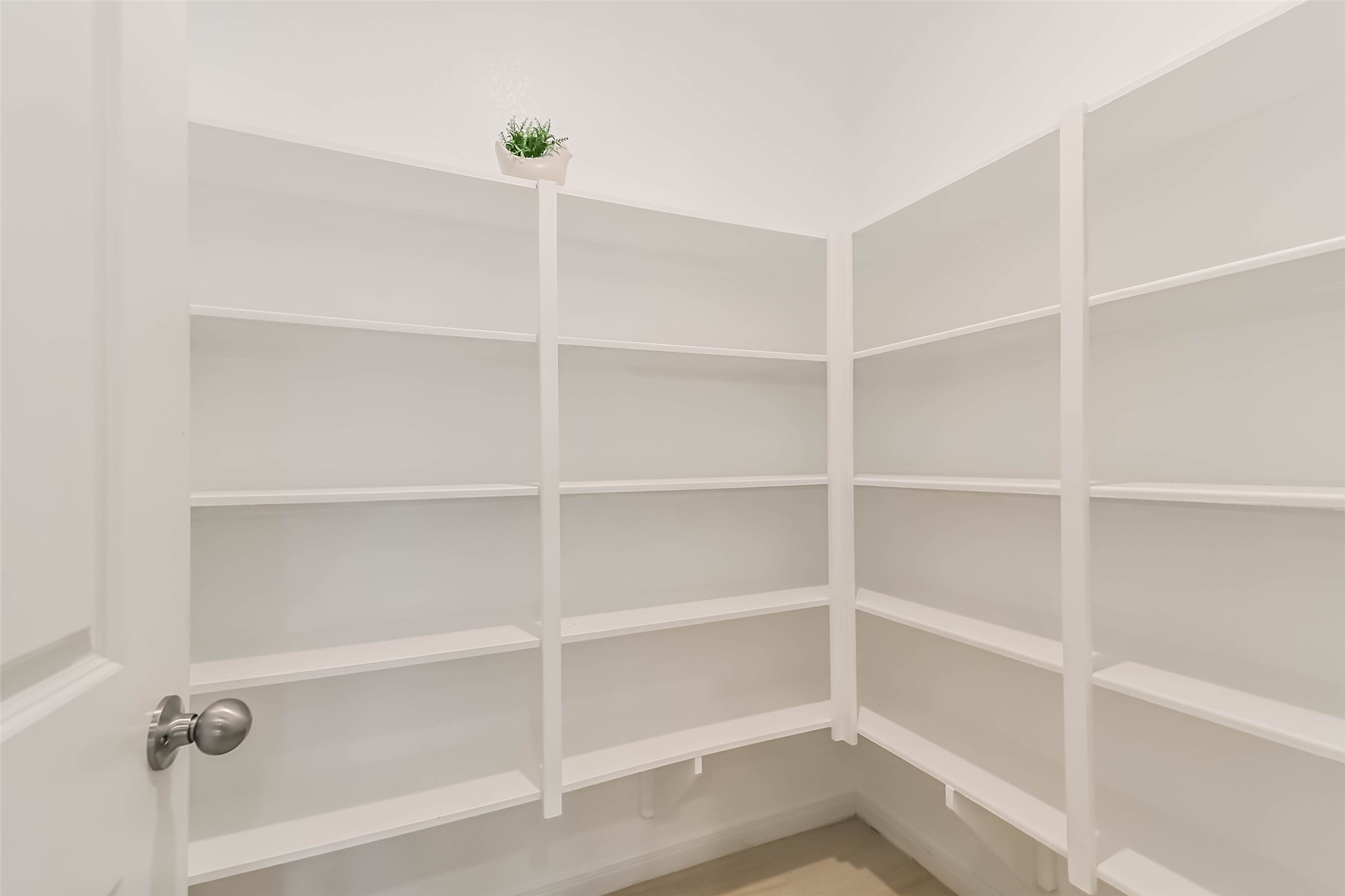 8810 Vasco Da Gama Trace Property Photo 10