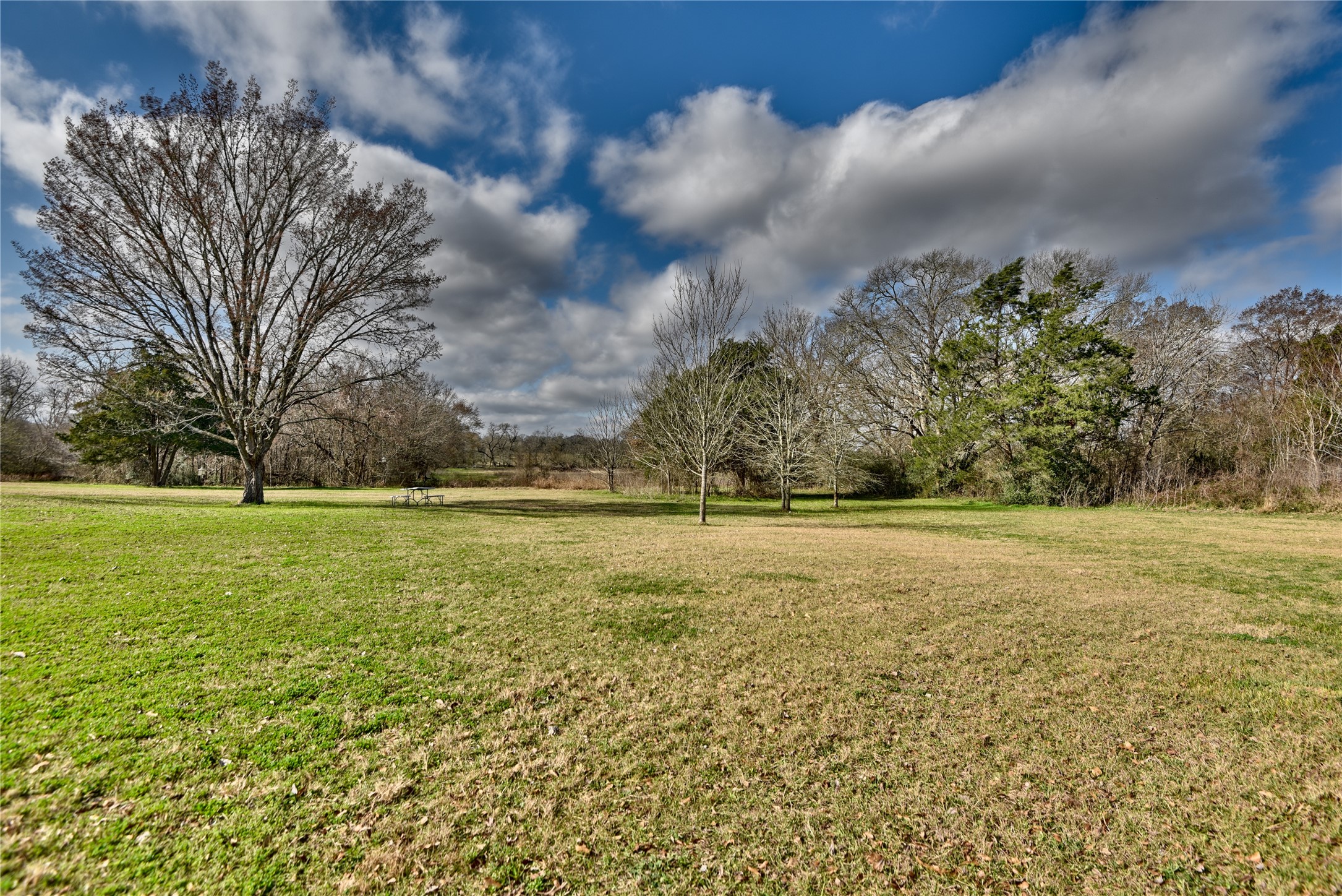 3175 Ferguson Property Photo 8
