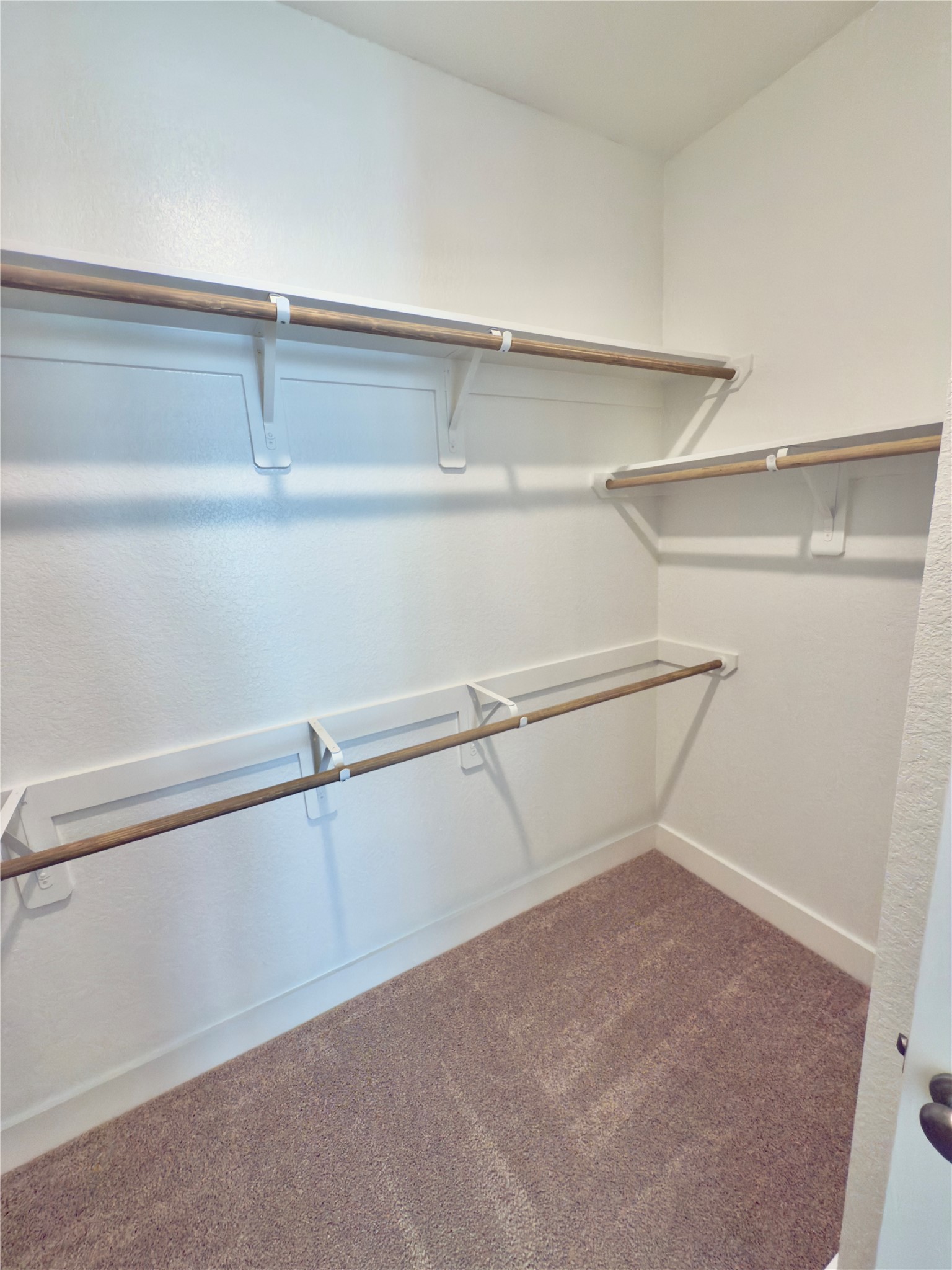 15206 Cortines Court Property Photo 13