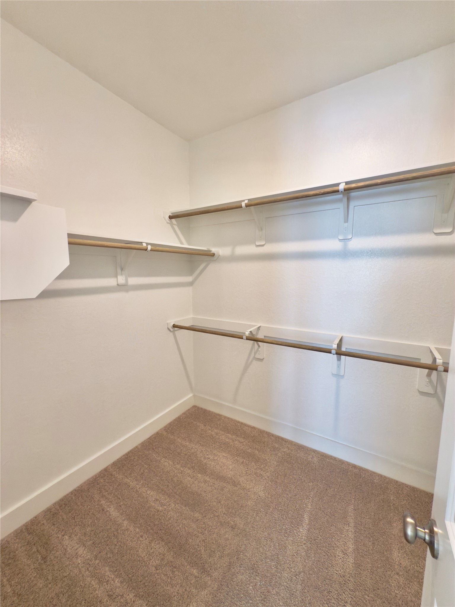 15206 Cortines Court Property Photo 14