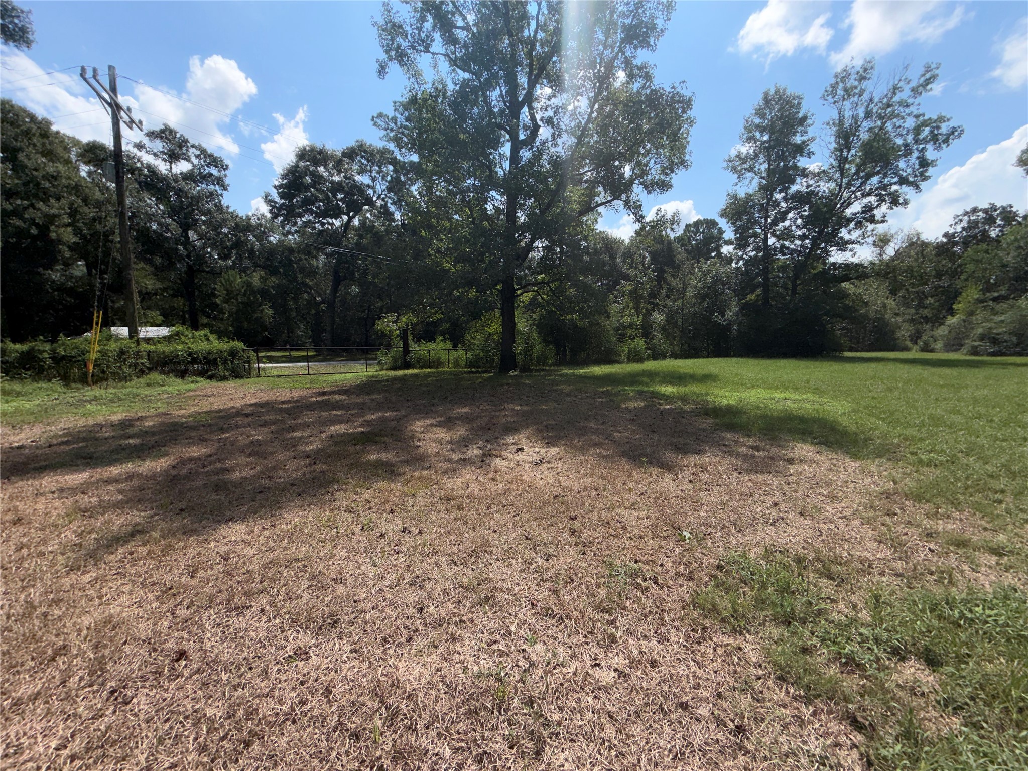 11988 Crystal Creek Property Photo 11