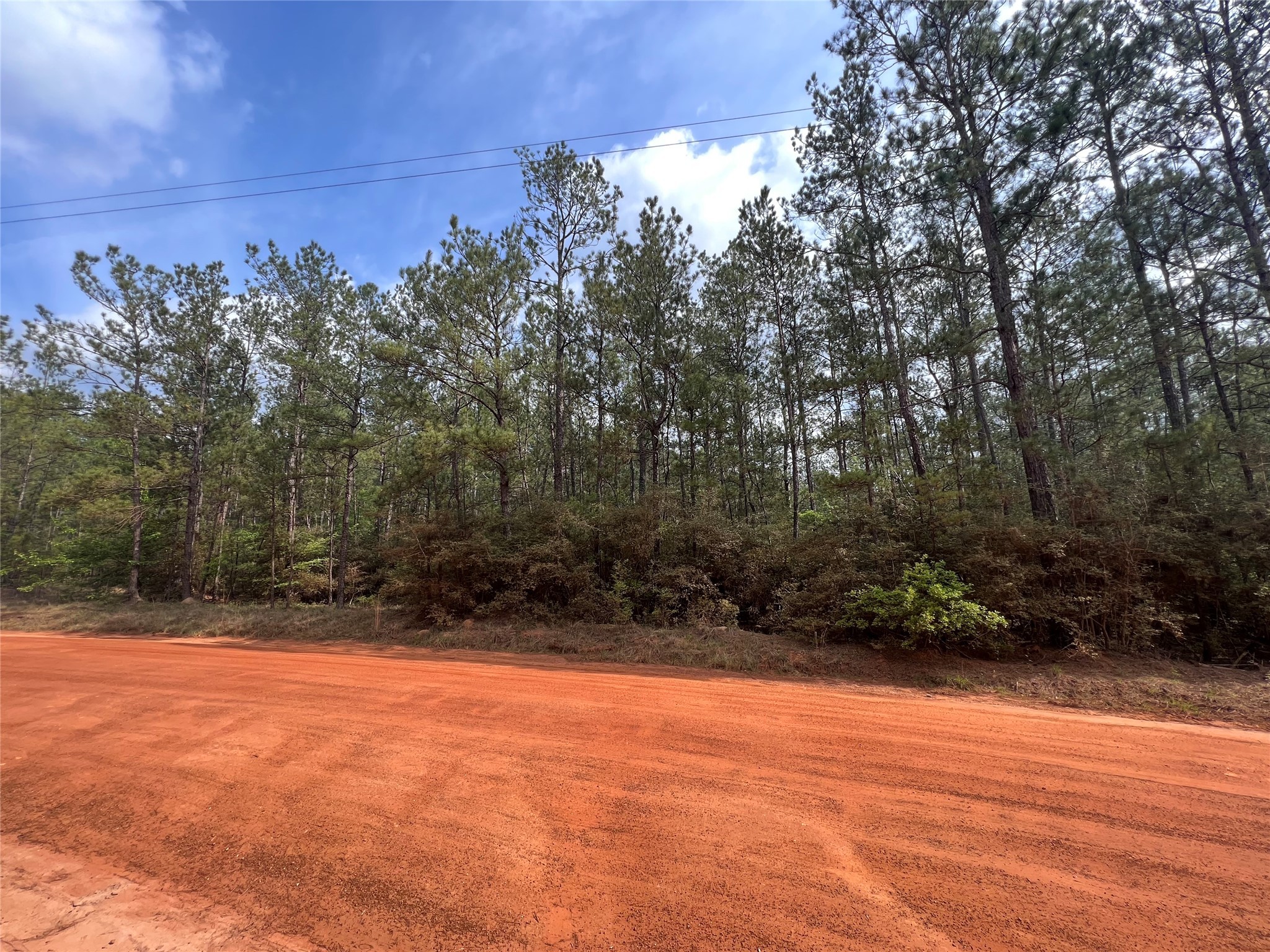 0 Forest Valley Drive Property Photo 1