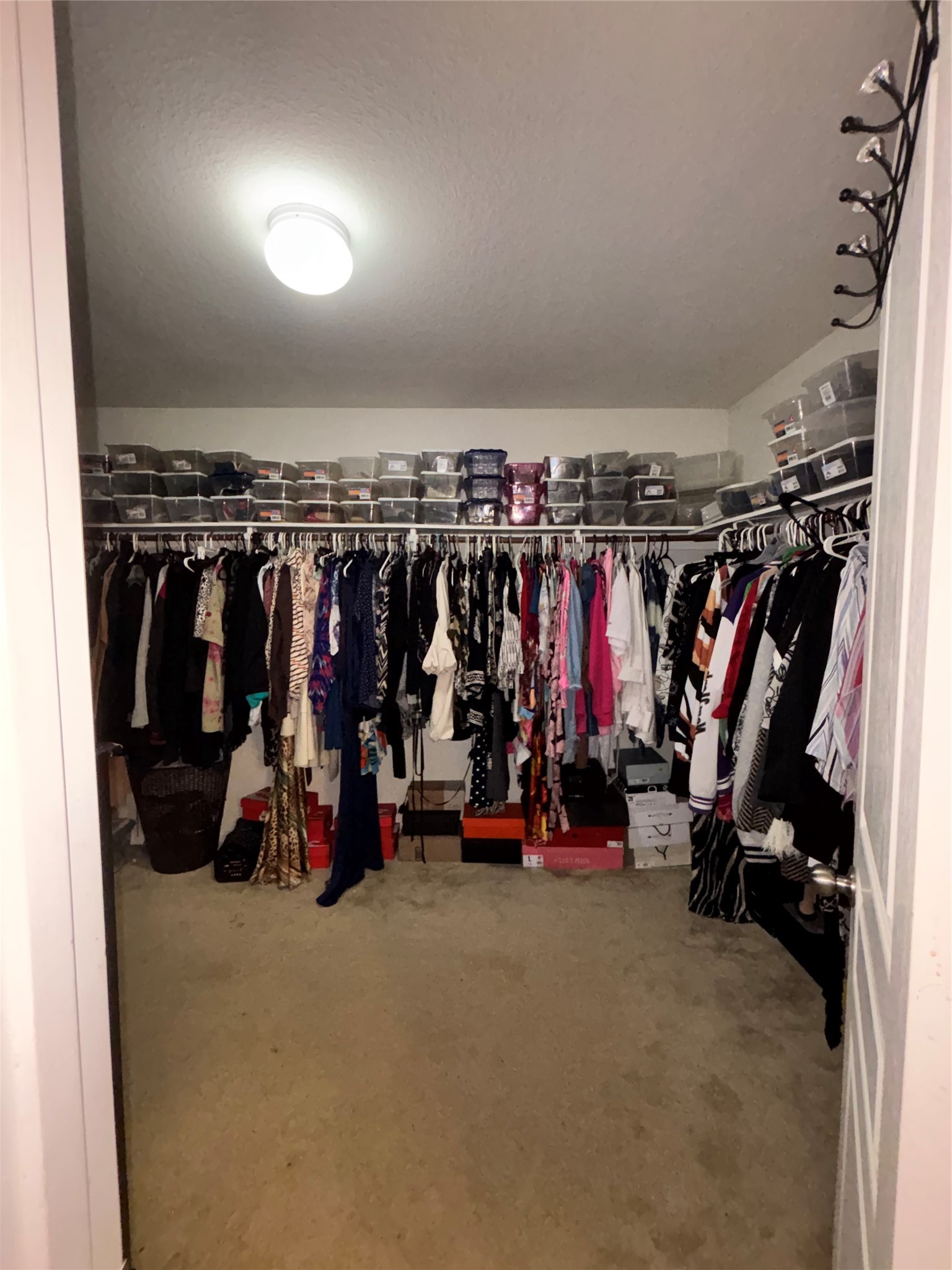 1312 Barton Creek Lane Property Photo 25