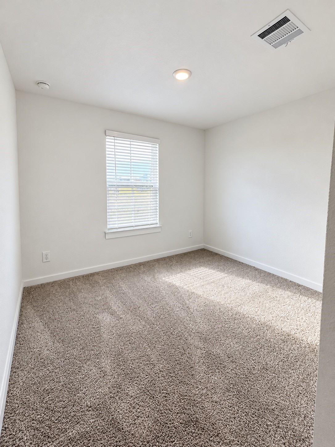 8707 Anacua Drive Property Photo 13