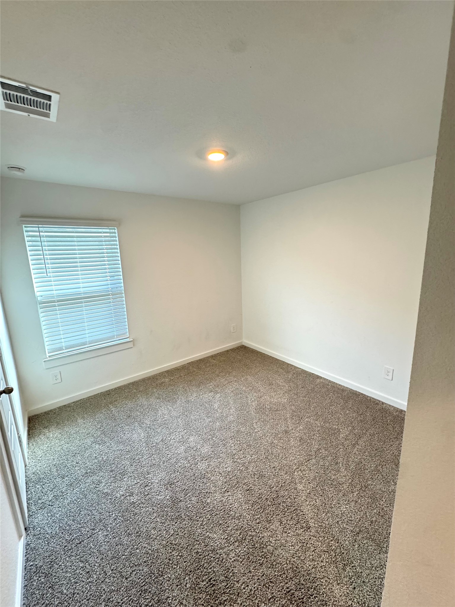 8707 Anacua Drive Property Photo 17